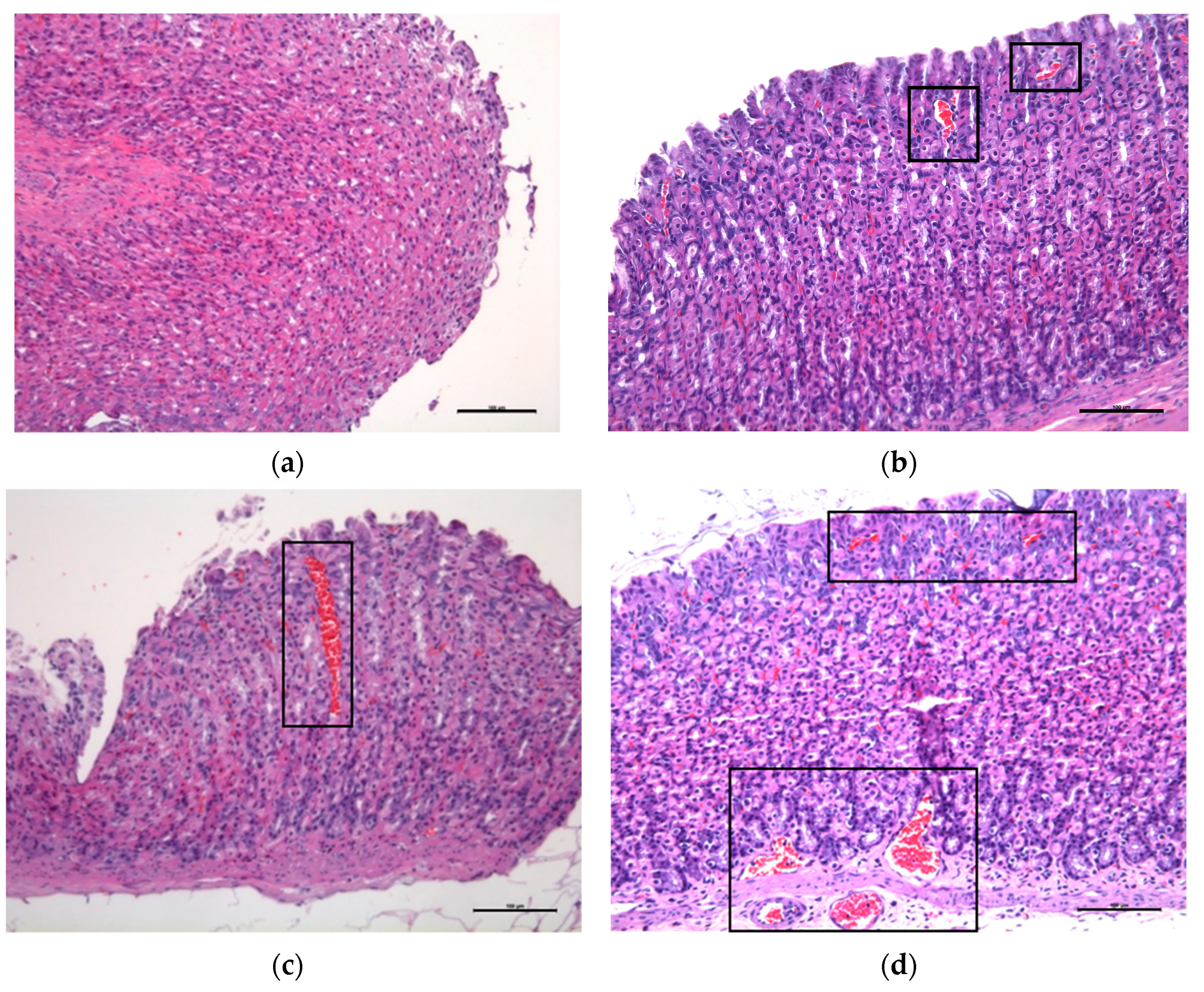 Vetsci 10 00667 g005