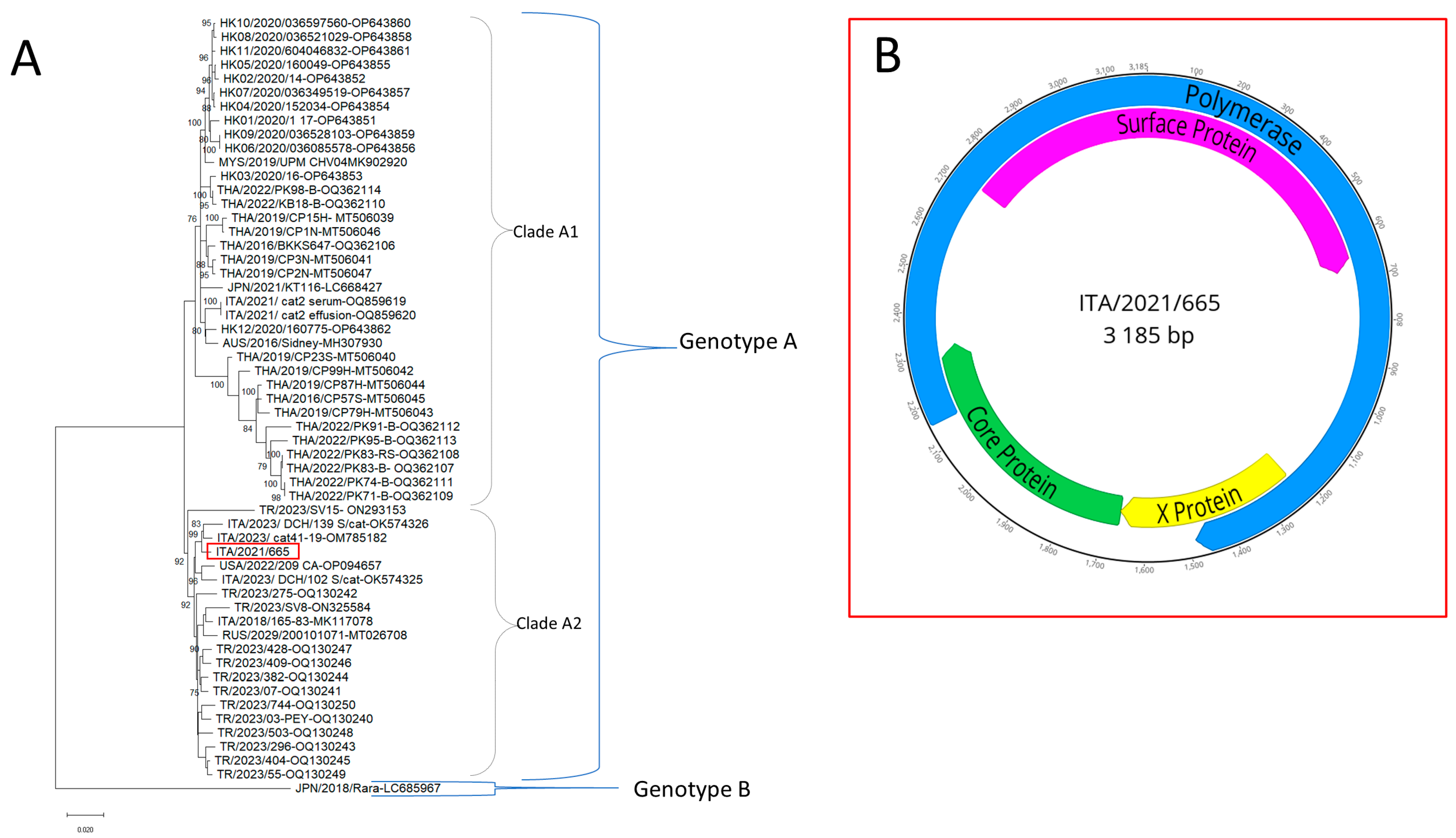 Vetsci 10 00668 g003
