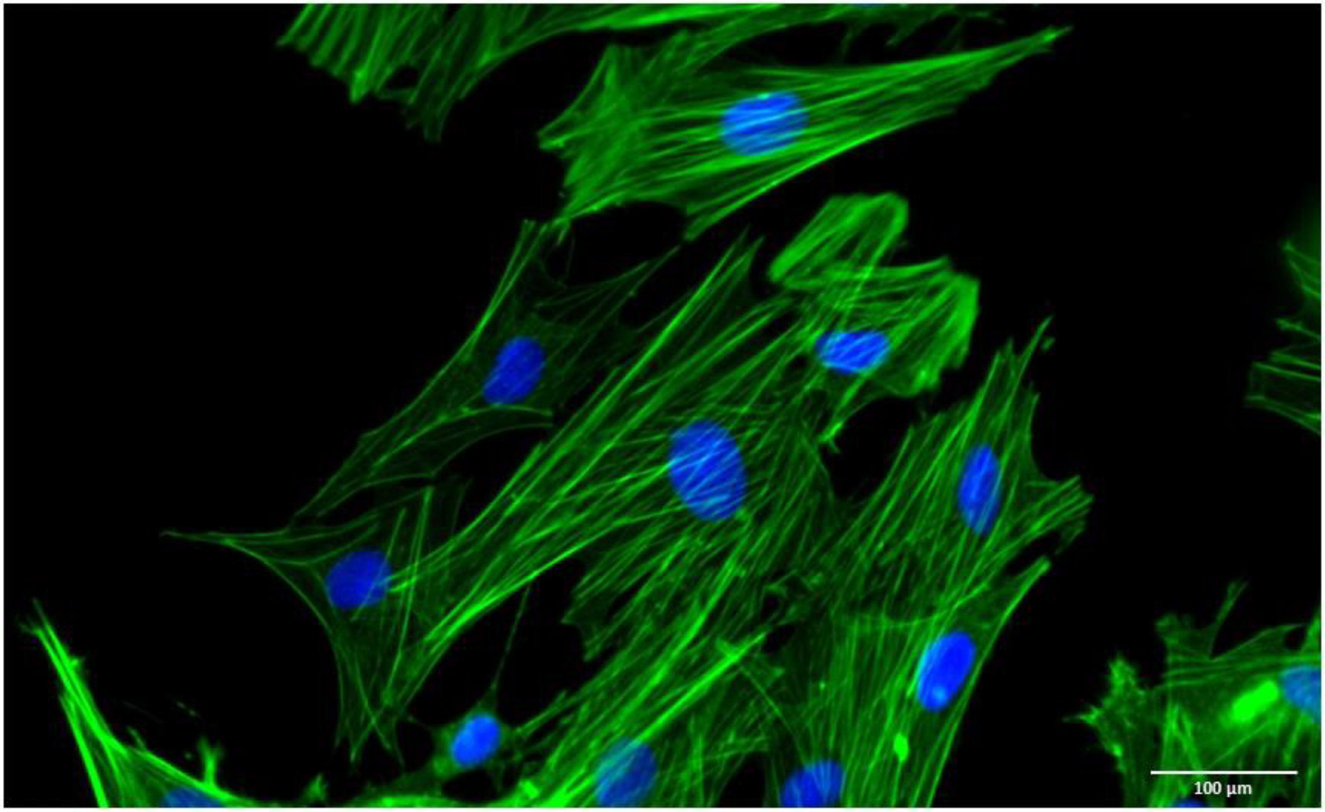 Vetsci 10 00673 g001 Vetsci 10 00673 g001