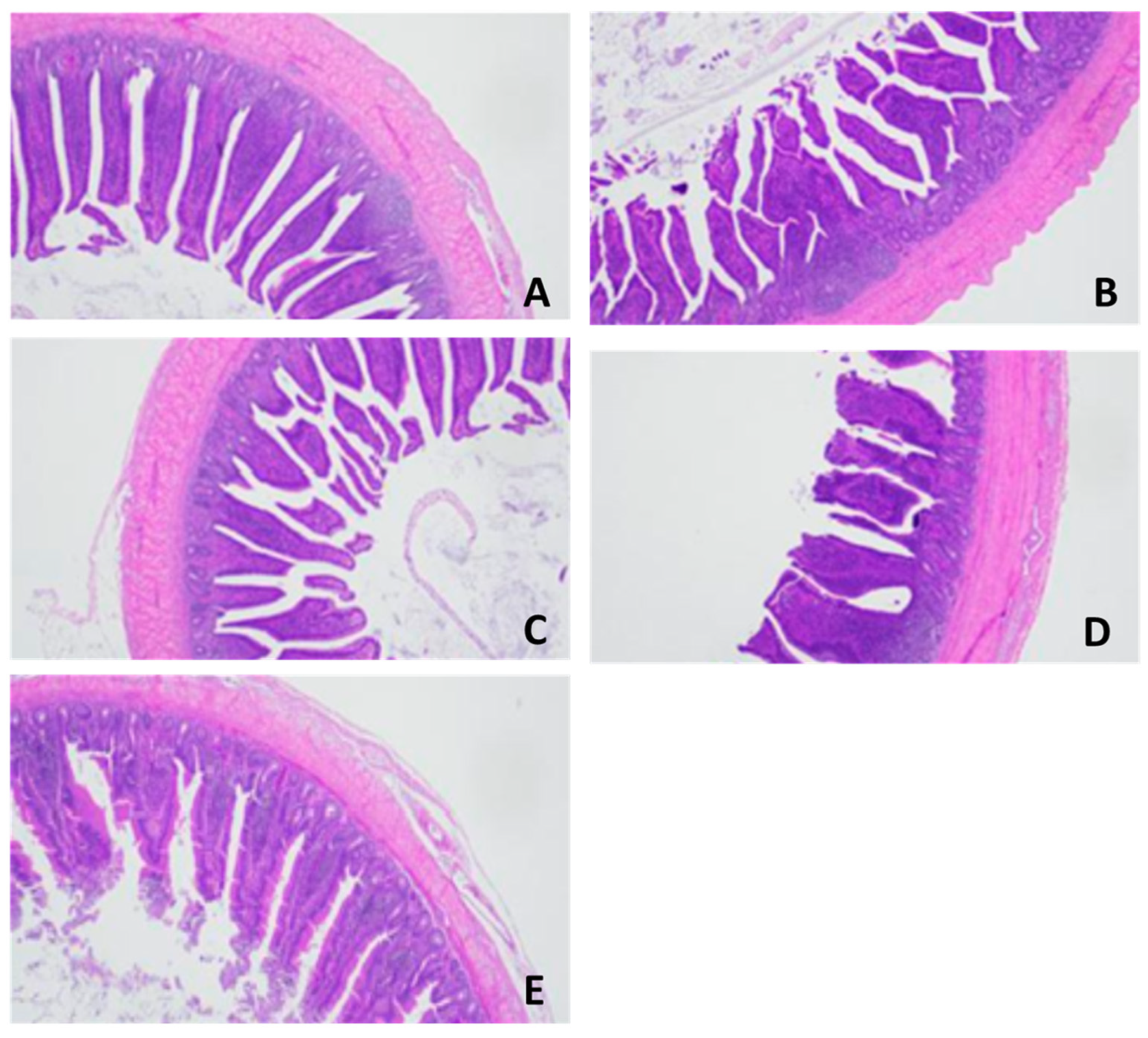 Vetsci 10 00678 g002