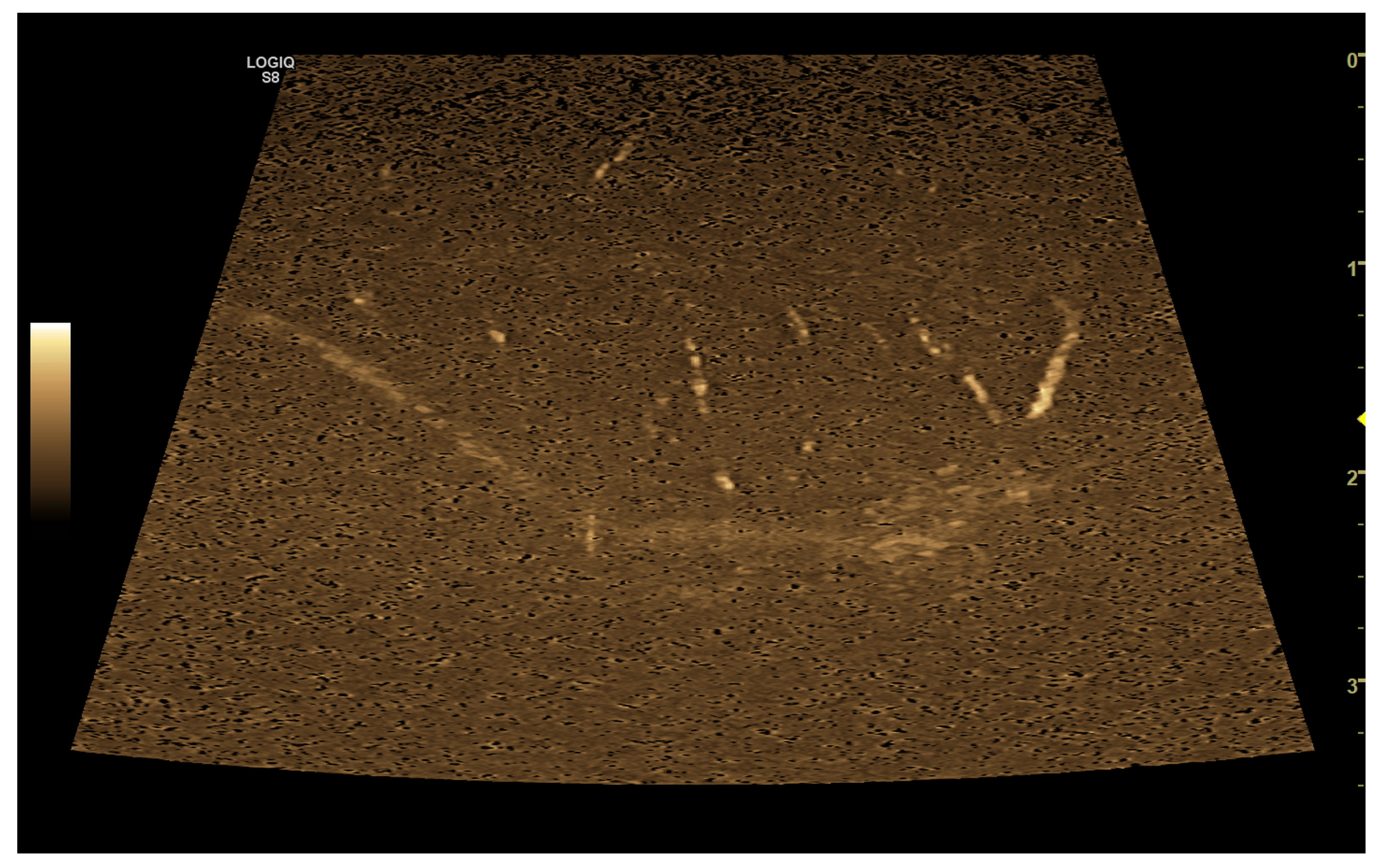 Vetsci 10 00683 g009