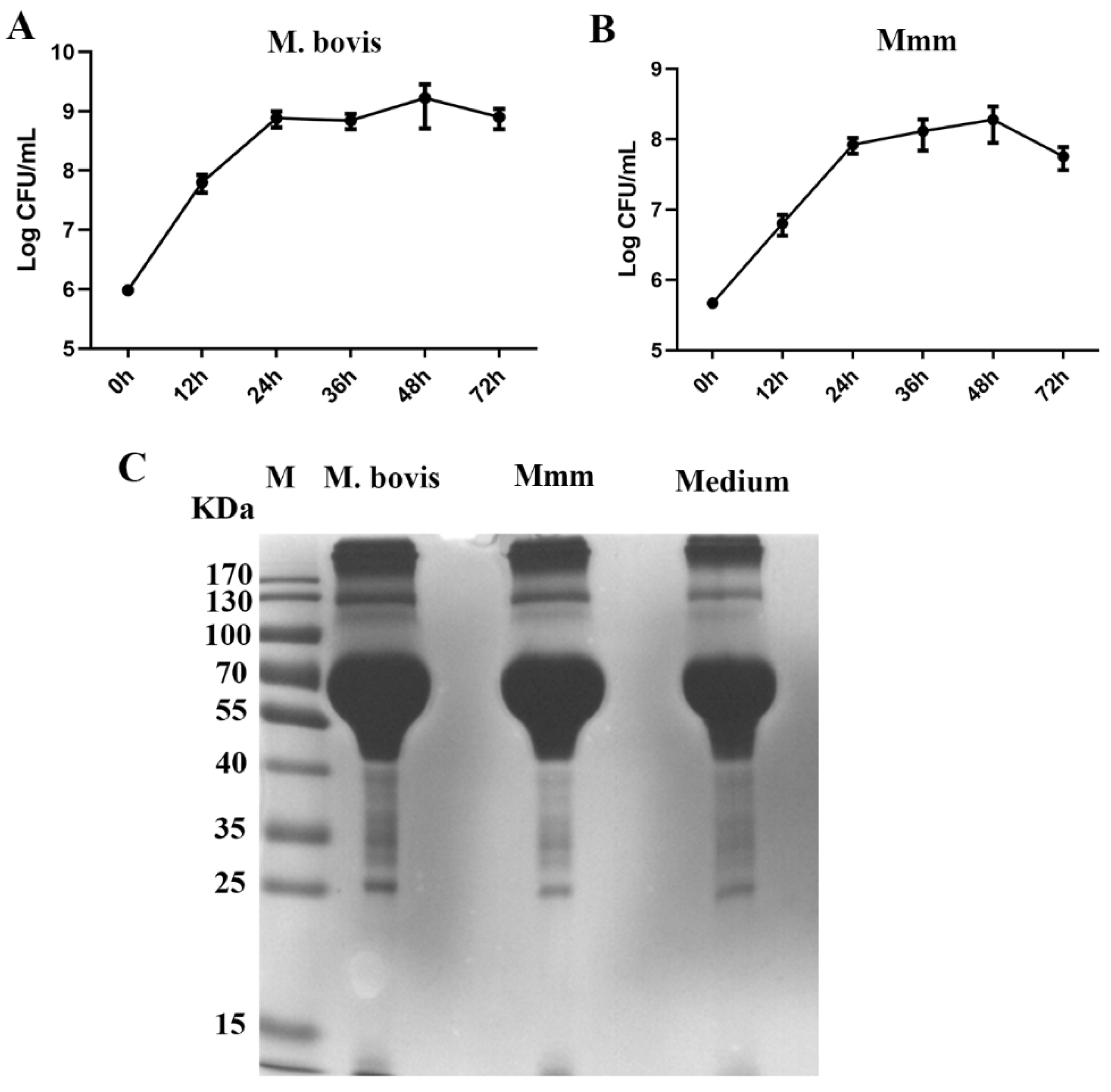 Vetsci 10 00685 g001