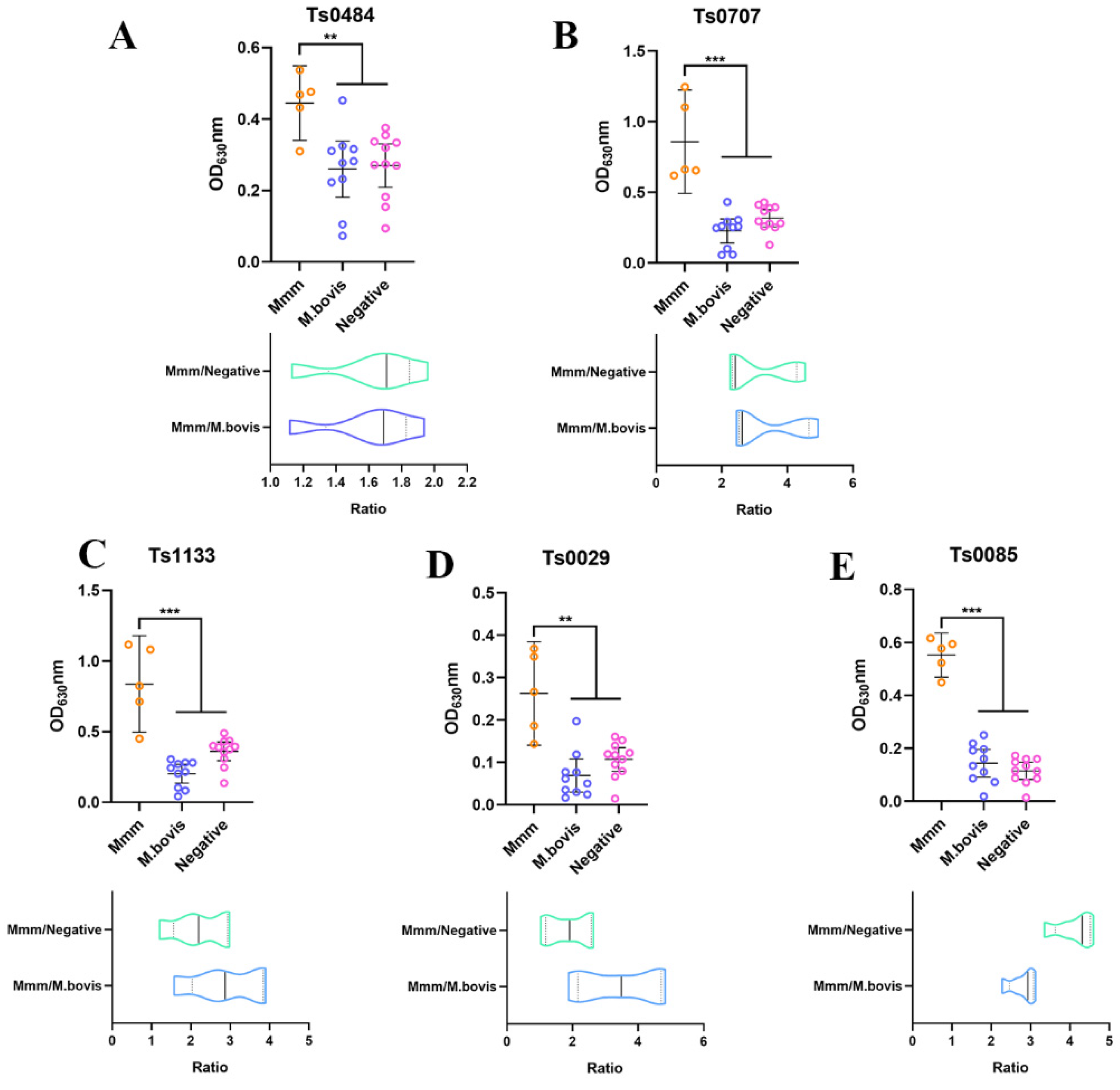 Vetsci 10 00685 g004