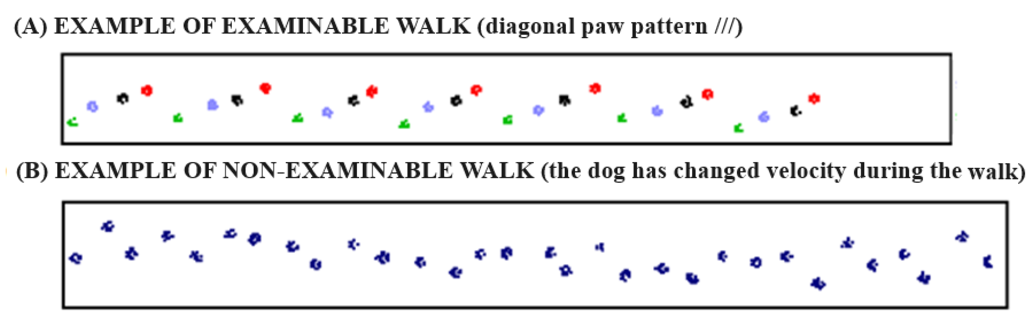 Vetsci 10 00696 g003