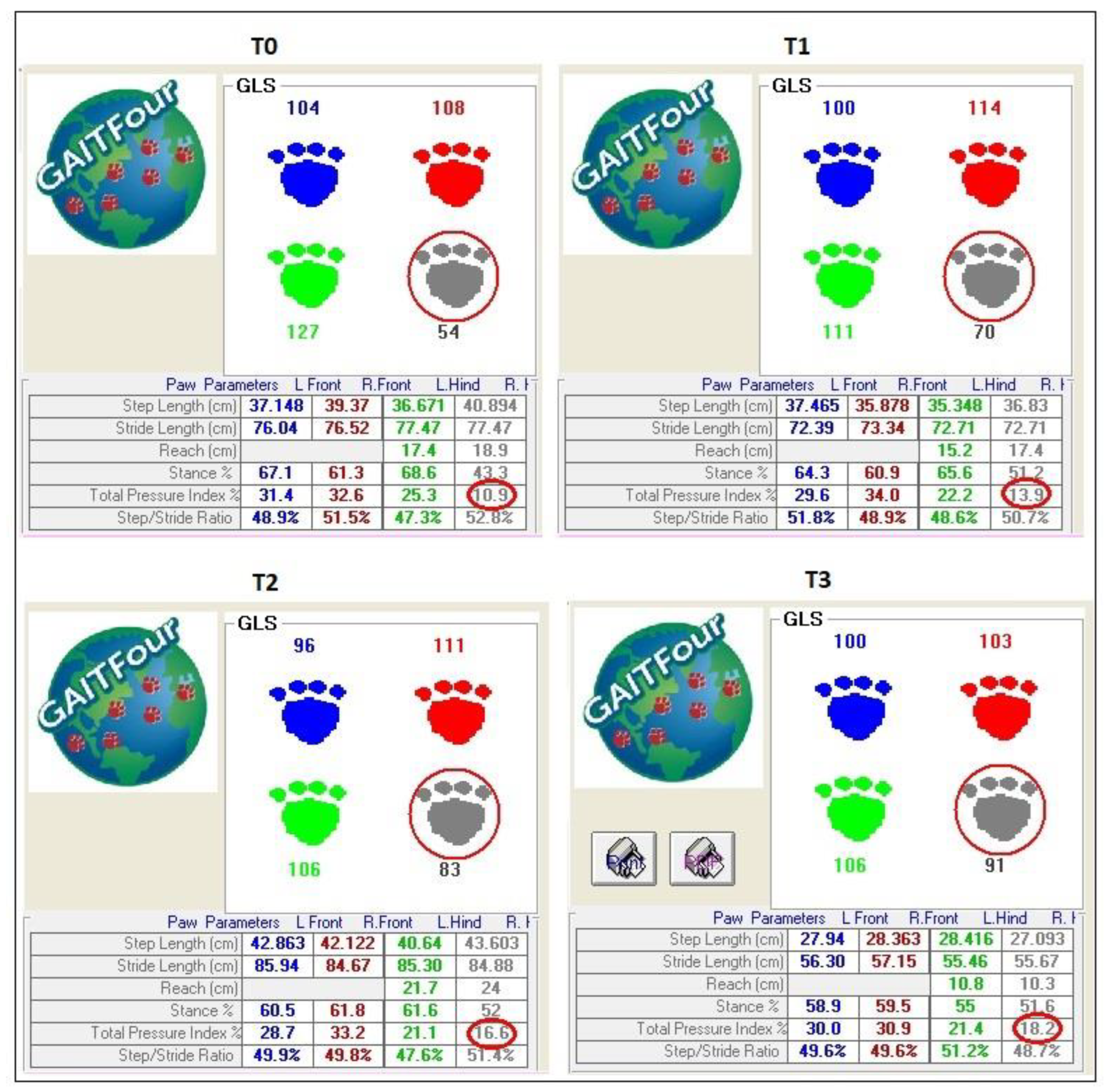 Vetsci 10 00696 g009