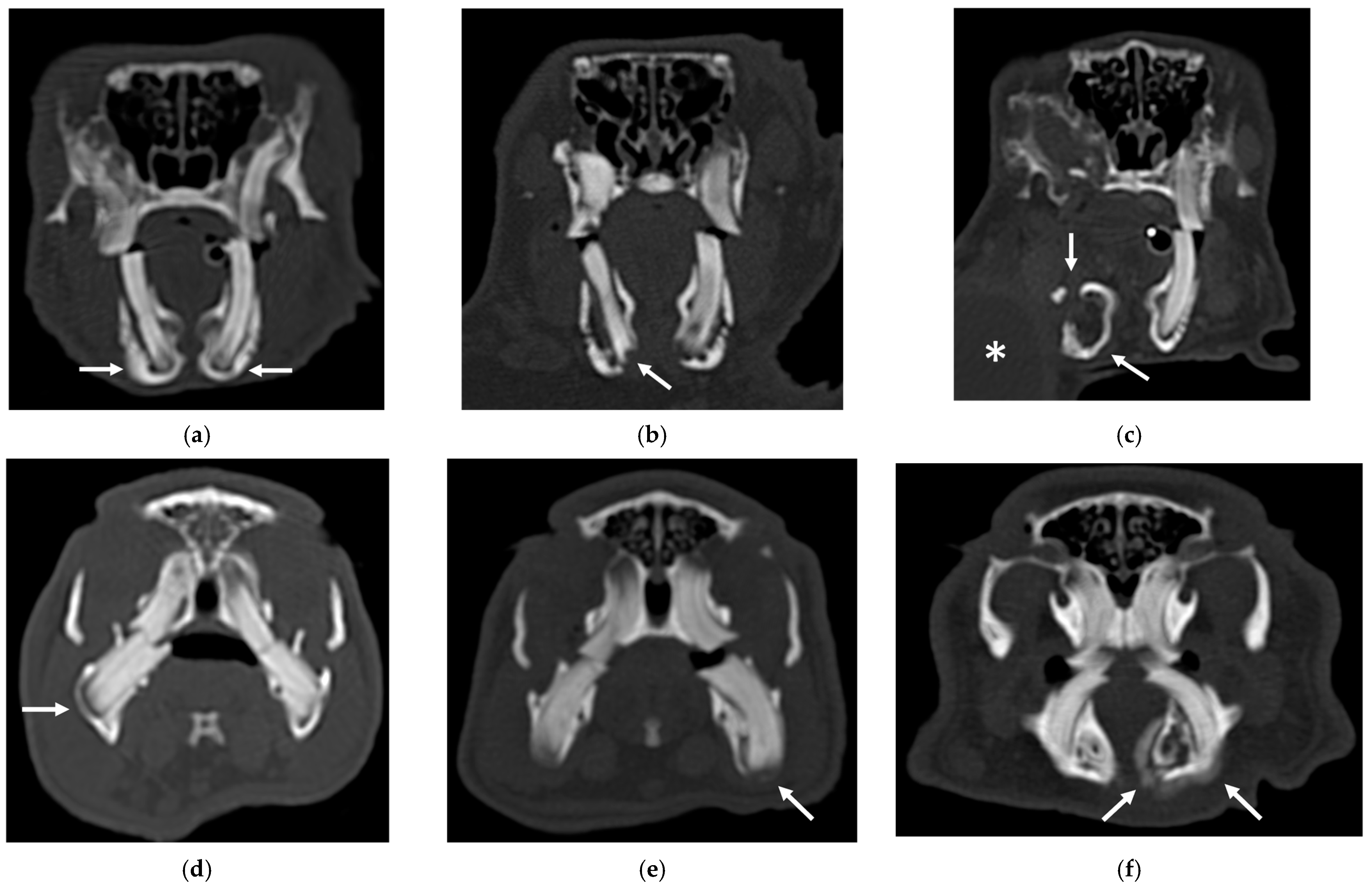 Vetsci 10 00705 g002