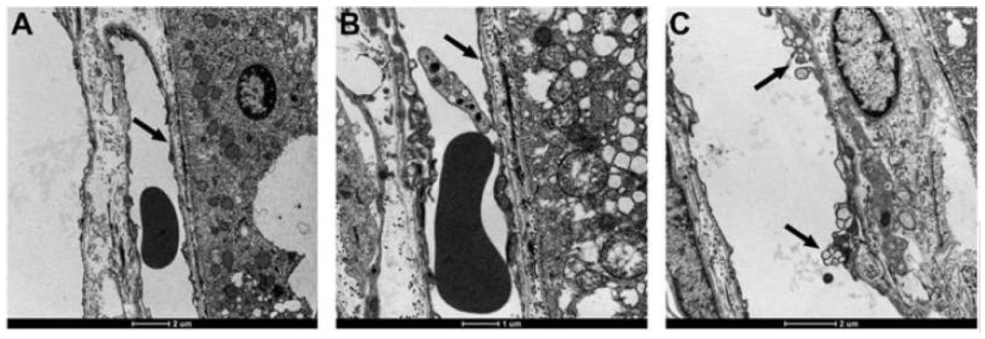 Vetsci 11 00002 g001