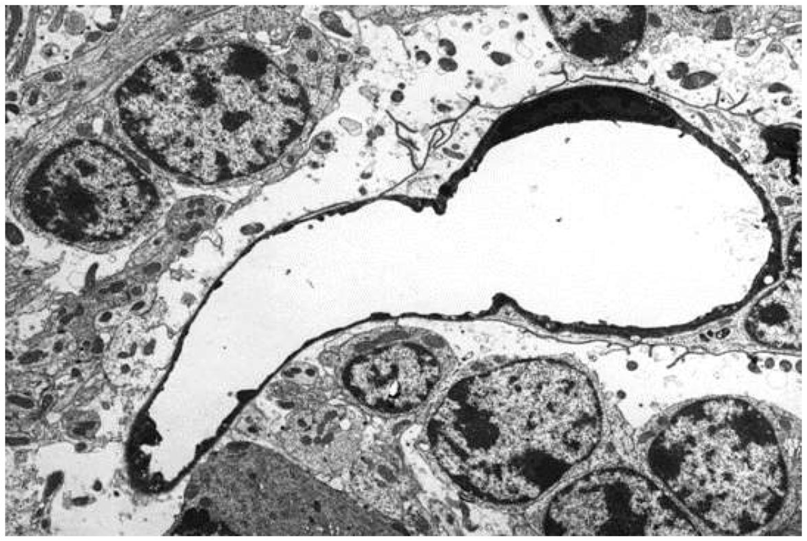 Vetsci 11 00002 g002