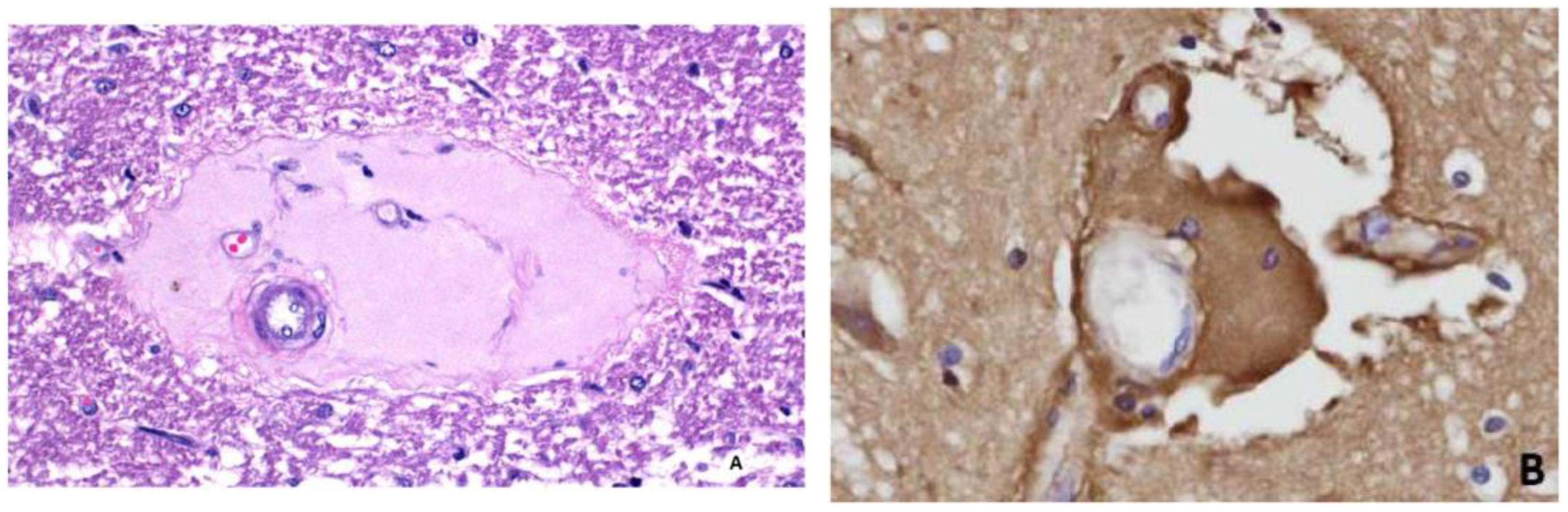 Vetsci 11 00002 g004