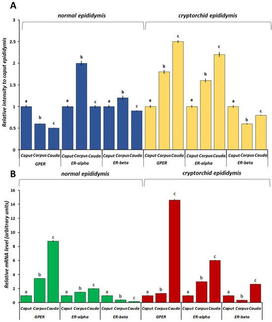 Vetsci 11 00021 g006