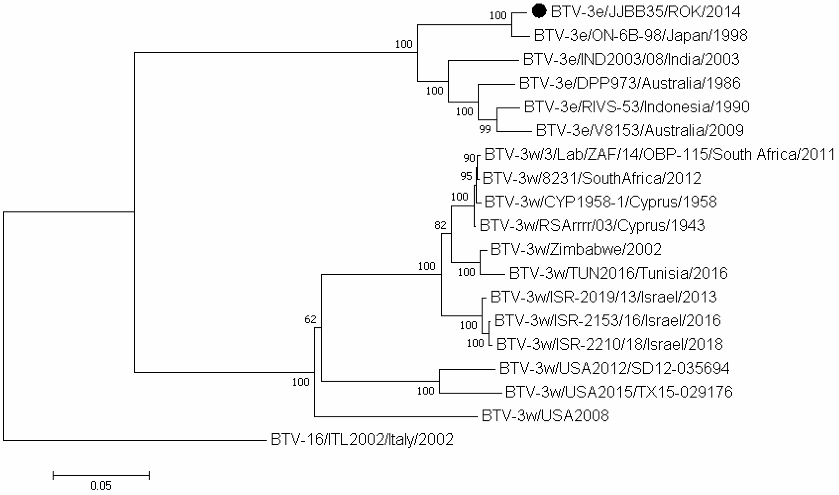 Vetsci 11 00029 g001