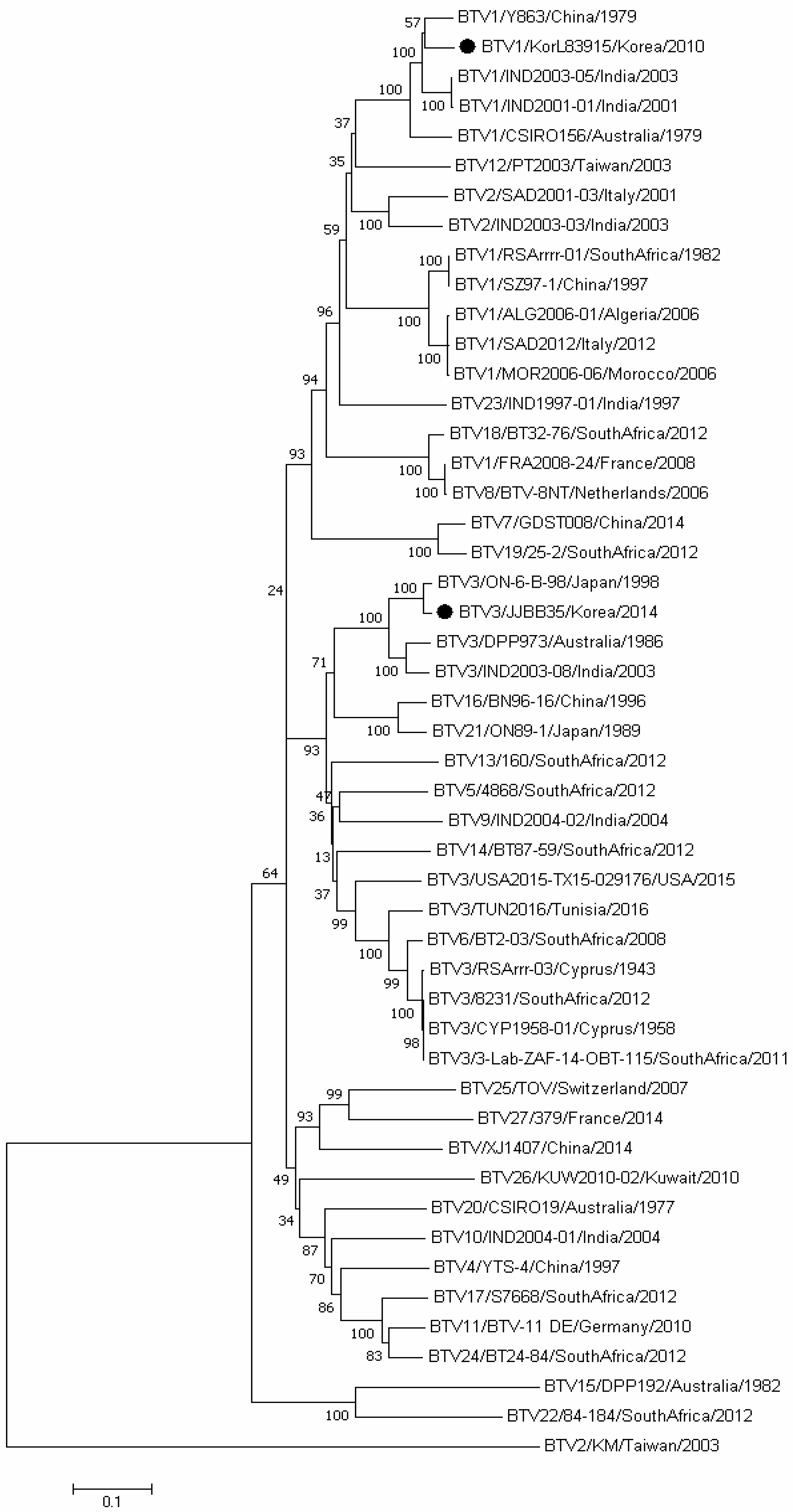 Vetsci 11 00029 g002
