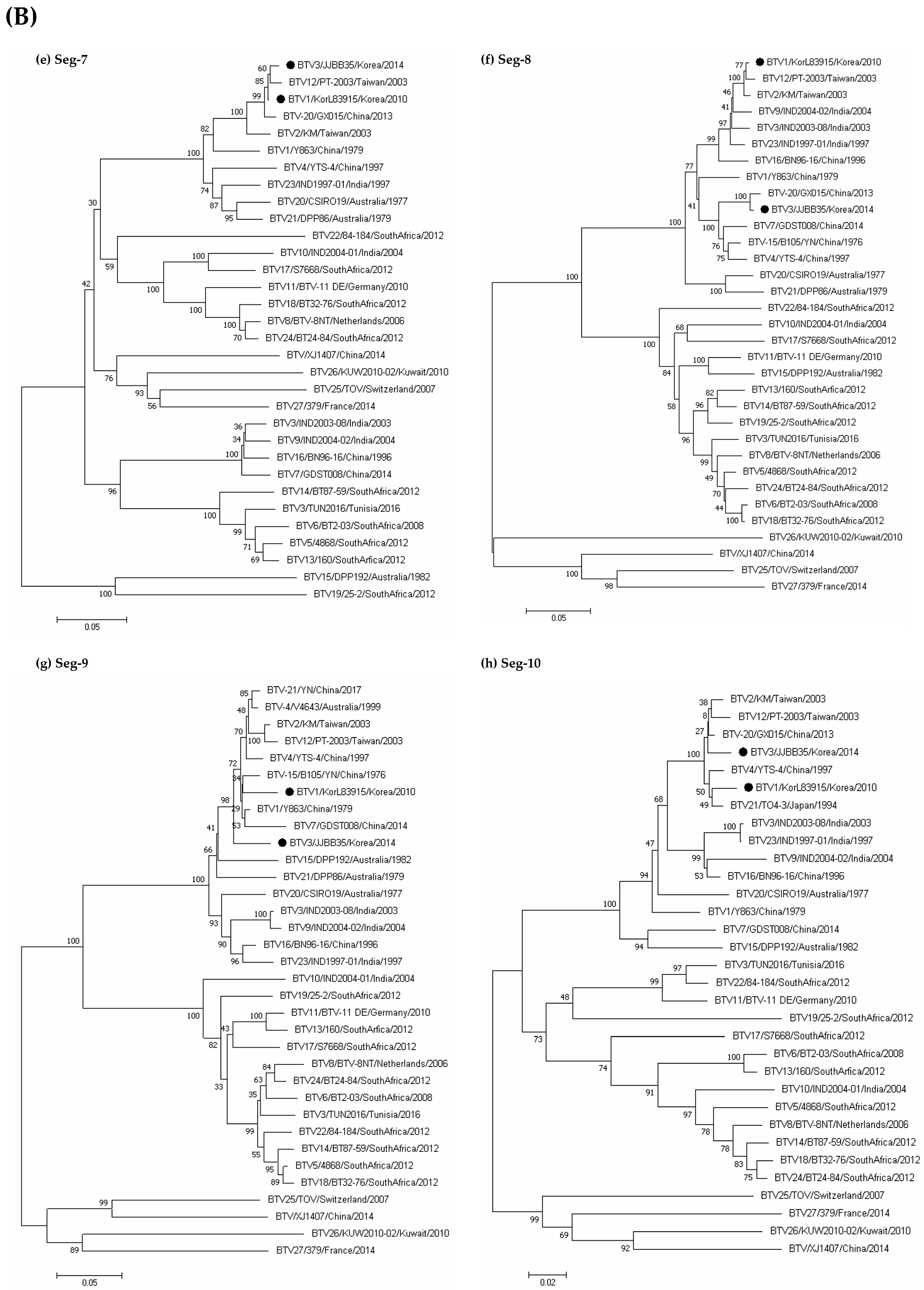 Vetsci 11 00029 g003b