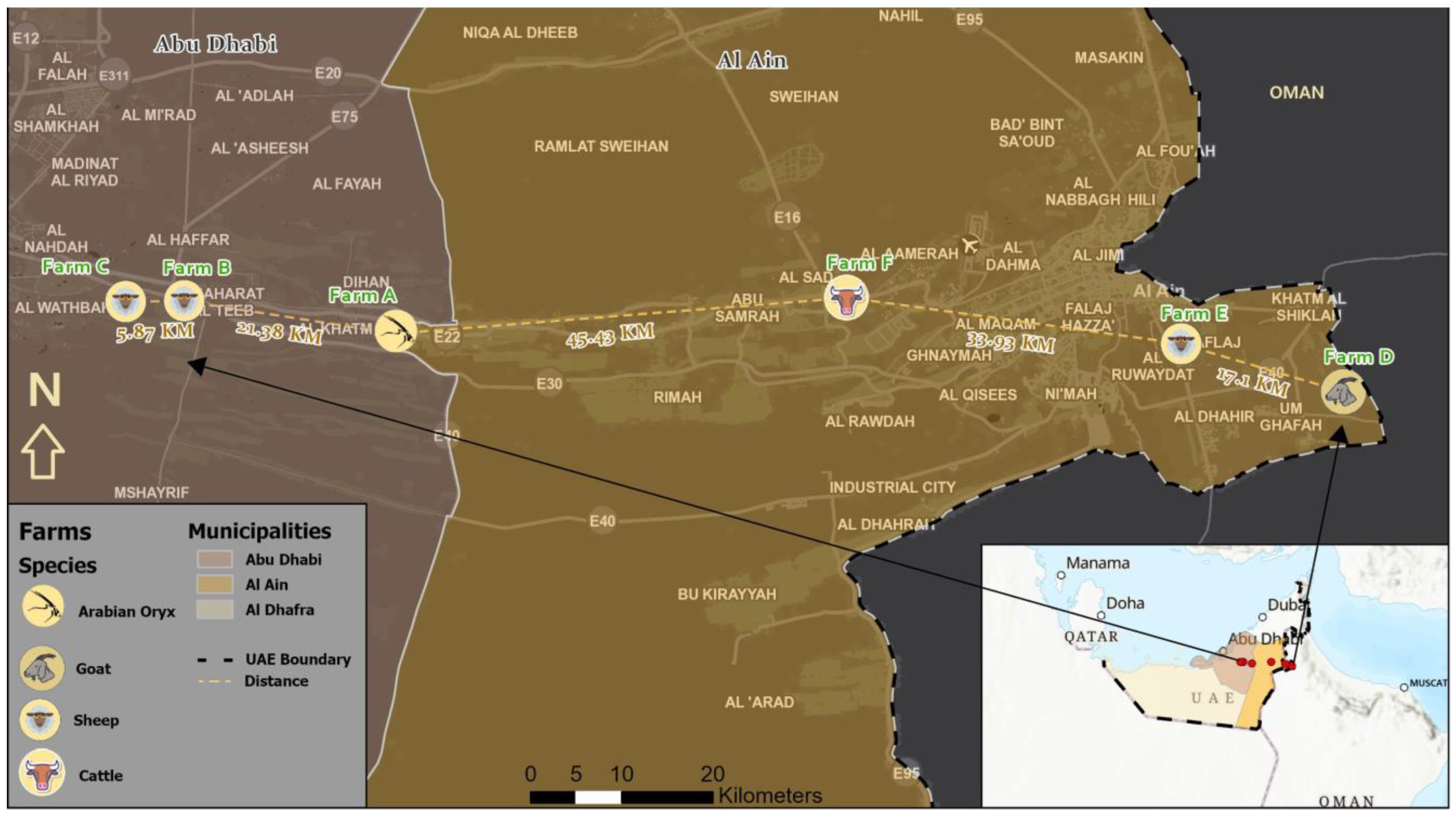 Vetsci 11 00032 g001