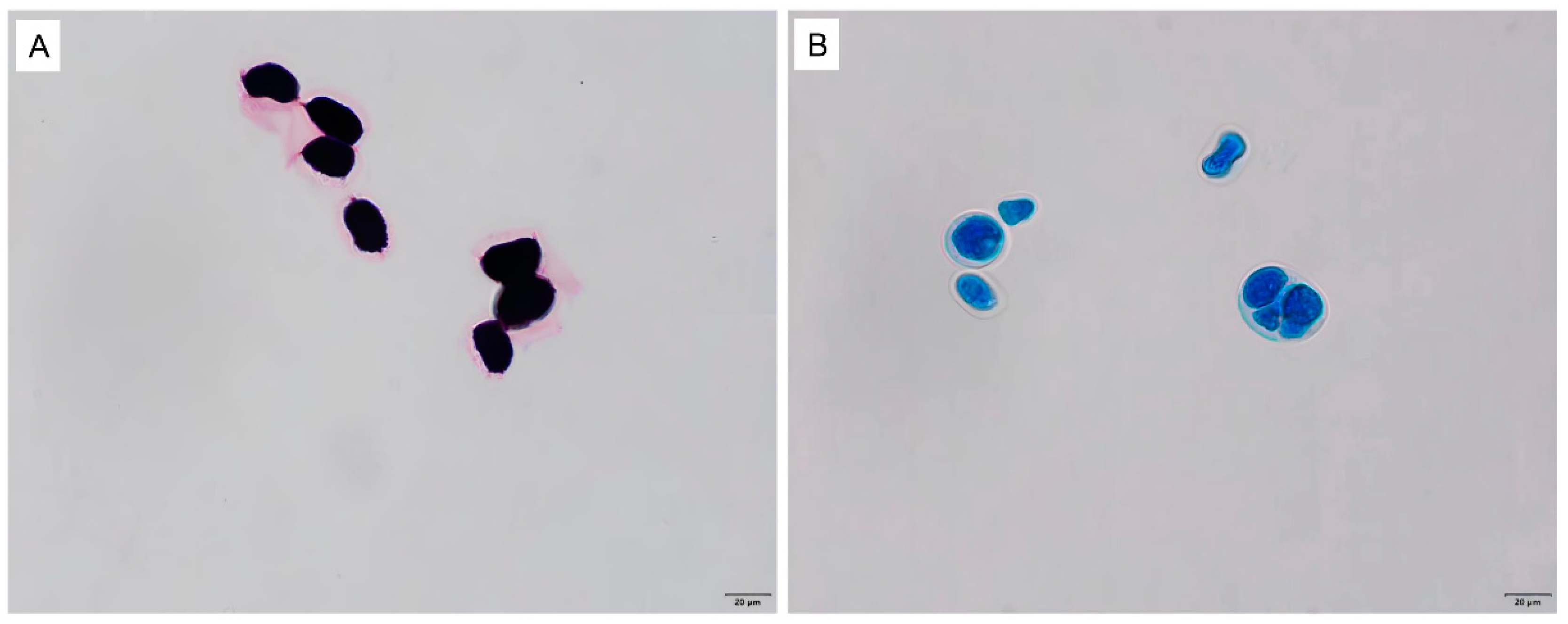Vetsci 11 00037 g002
