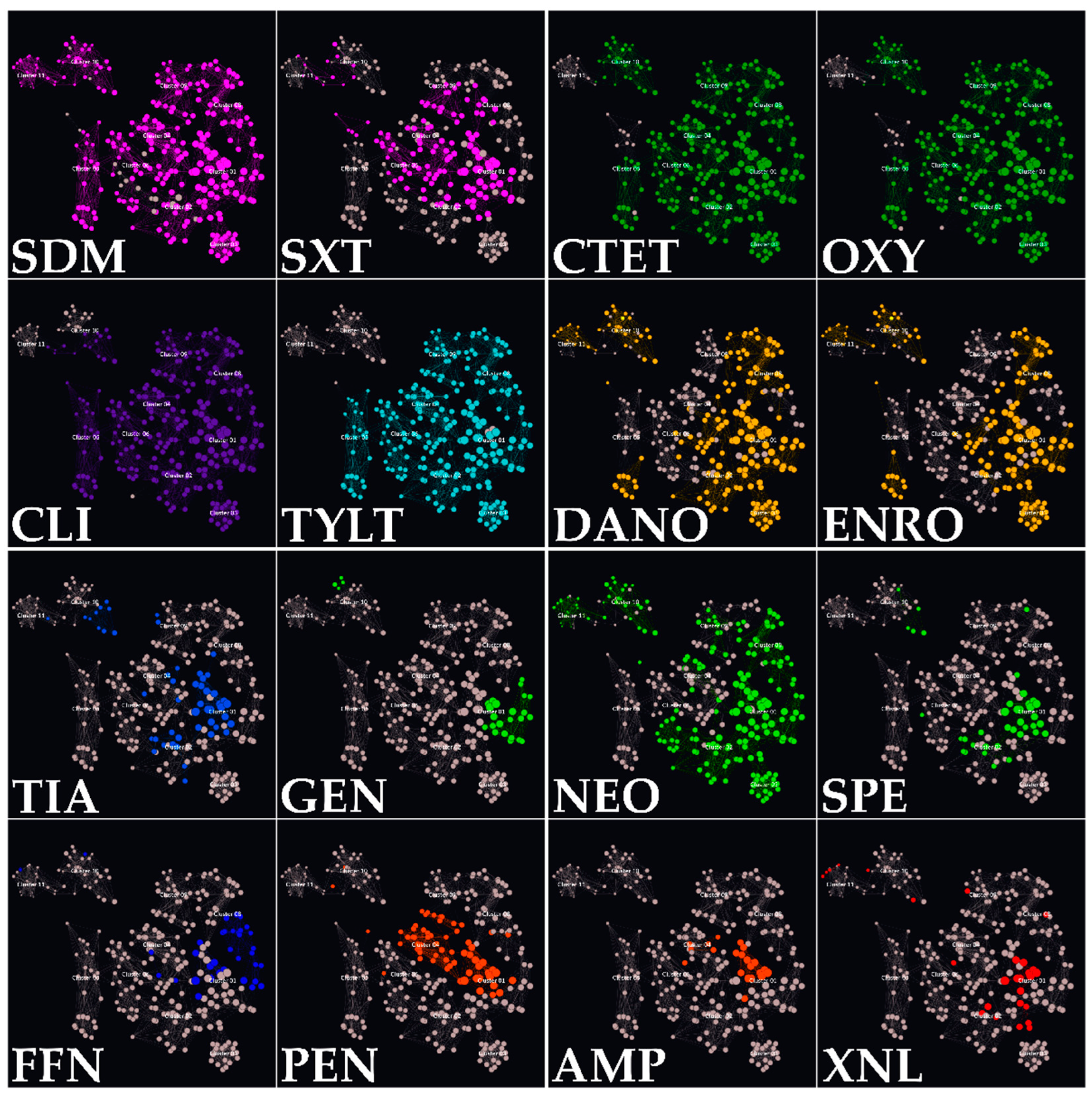 Vetsci 11 00040 g007