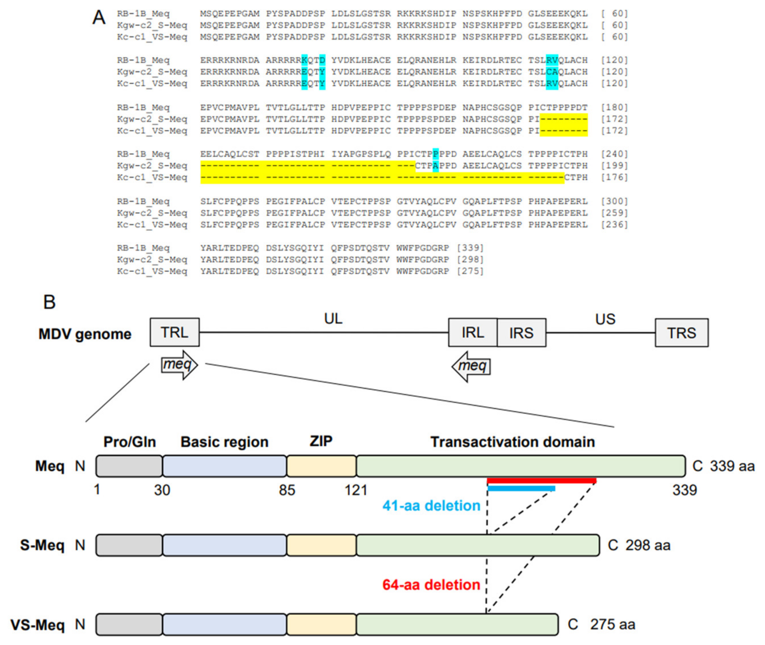Vetsci 11 00043 g001