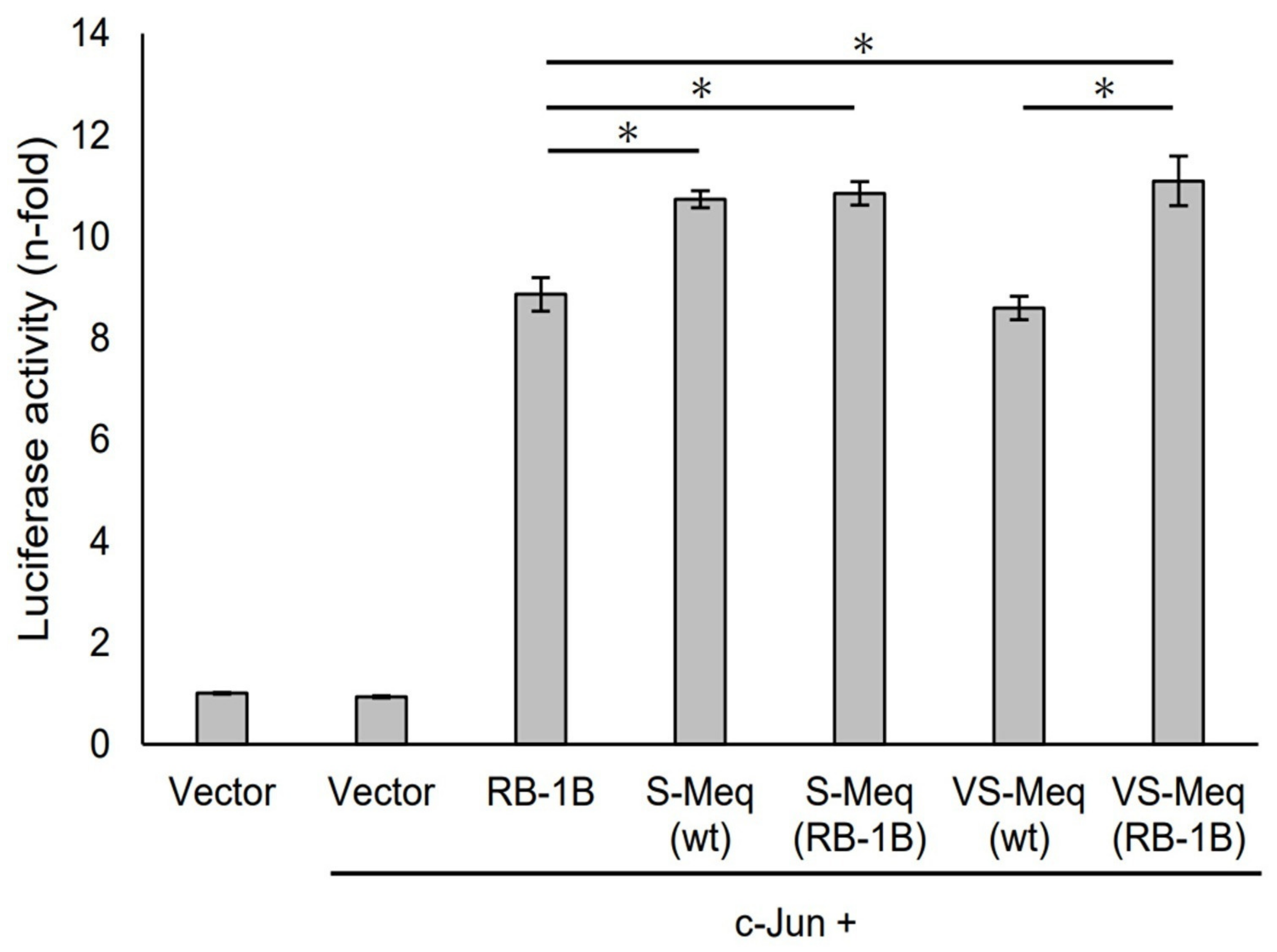 Vetsci 11 00043 g004