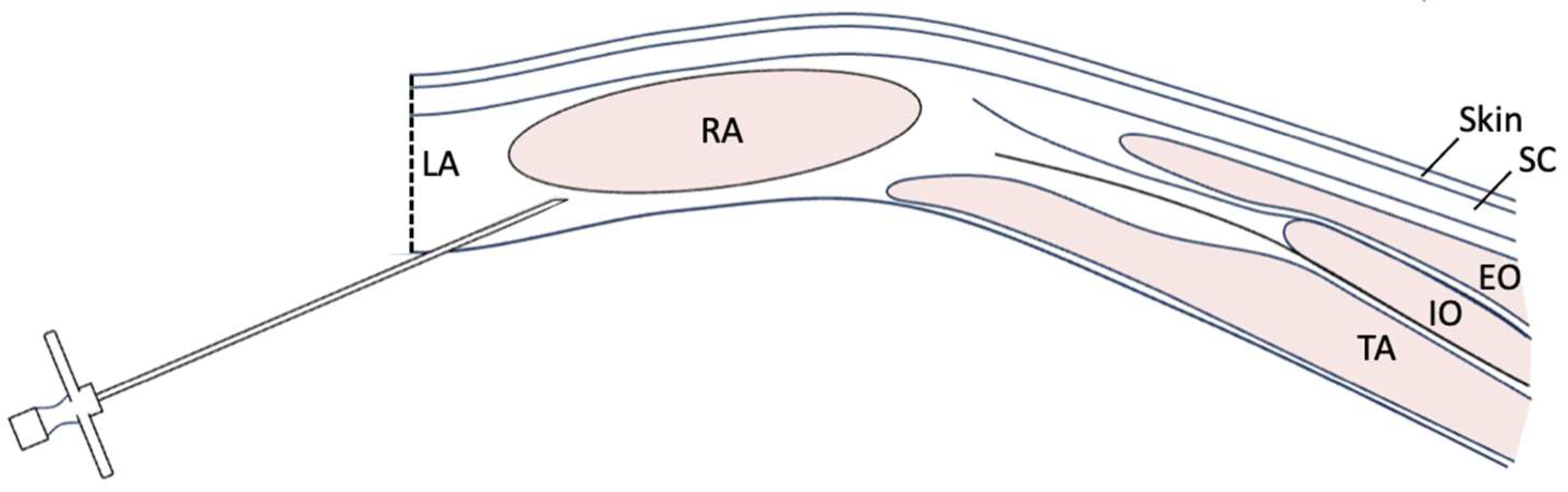Vetsci 11 00051 sch001