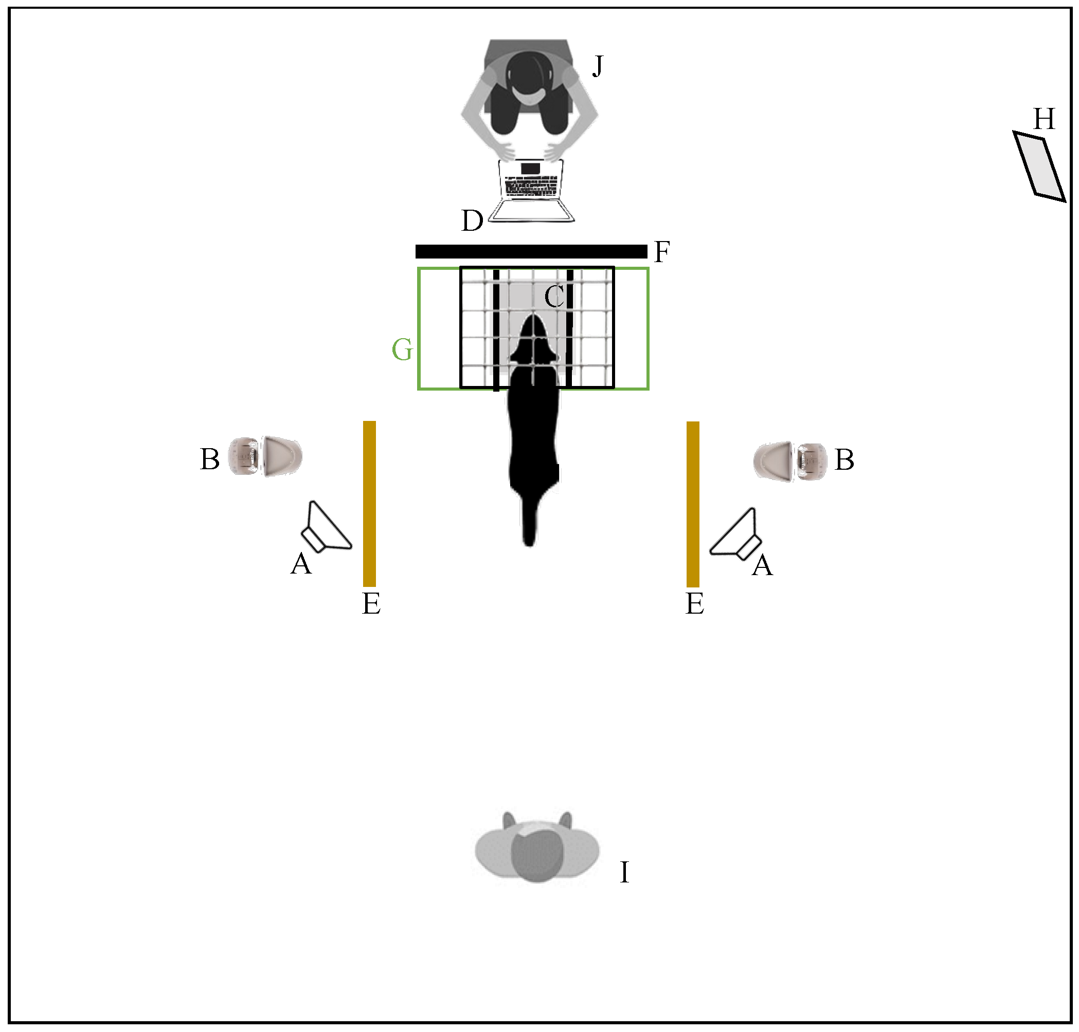 Vetsci 11 00067 g001