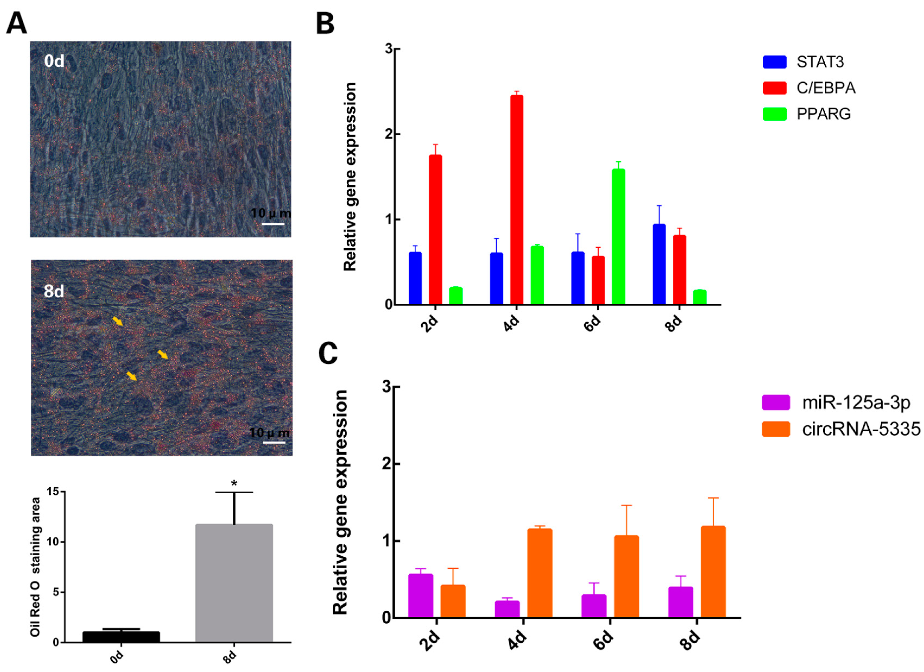 Vetsci 11 00070 g001 Vetsci 11 00070 g001