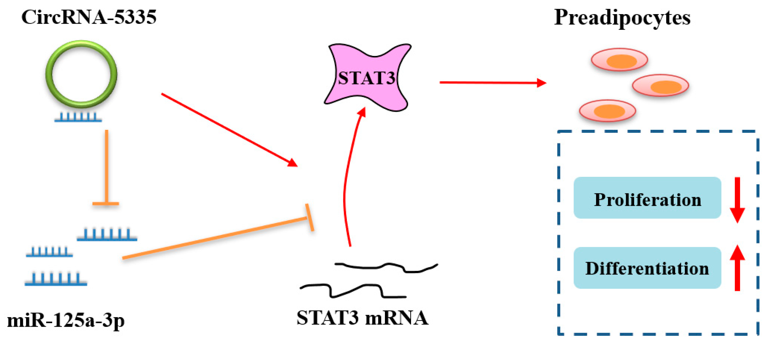 Vetsci 11 00070 g008 Vetsci 11 00070 g008