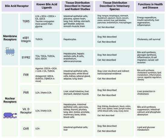 Vetsci 11 00094 g003