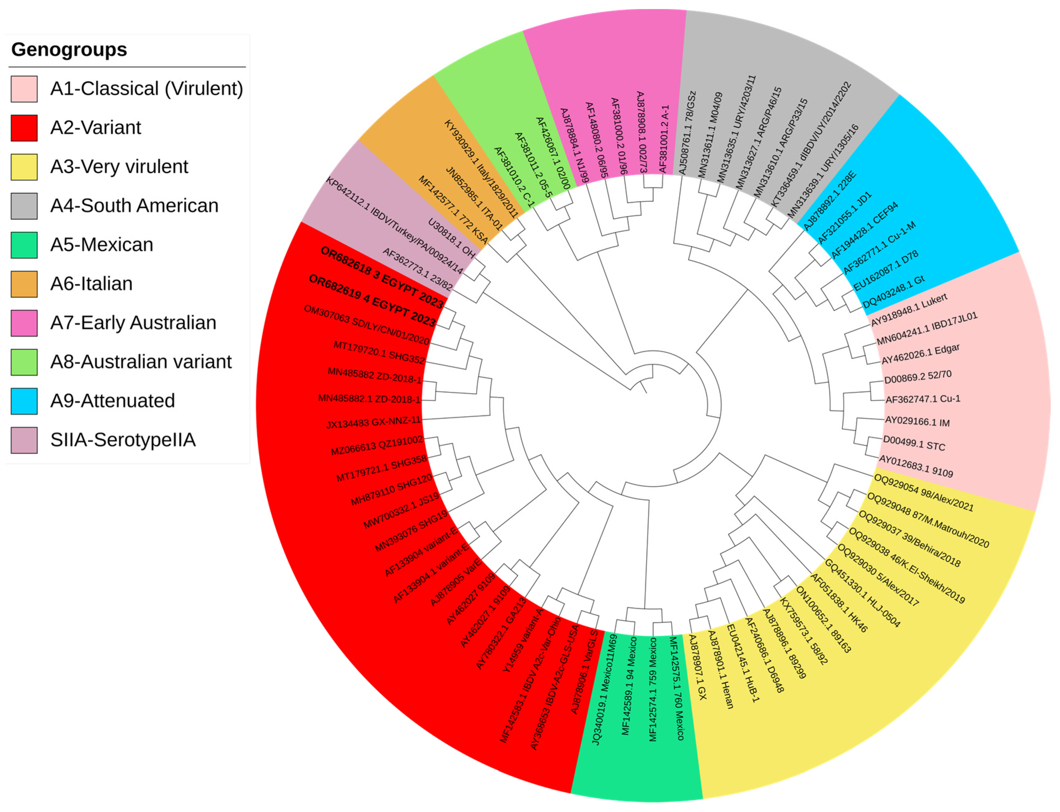 Vetsci 11 00098 g002