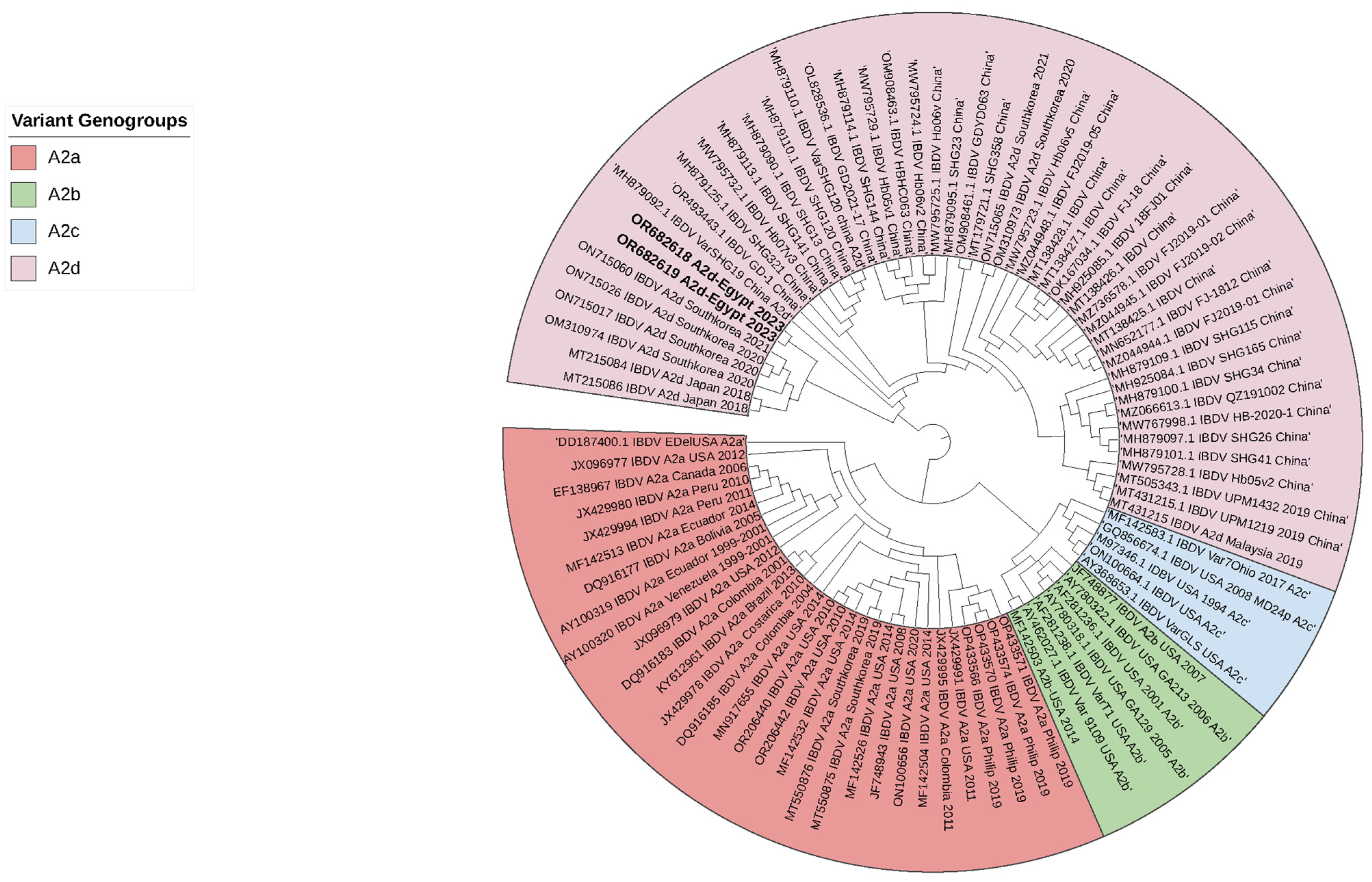 Vetsci 11 00098 g003