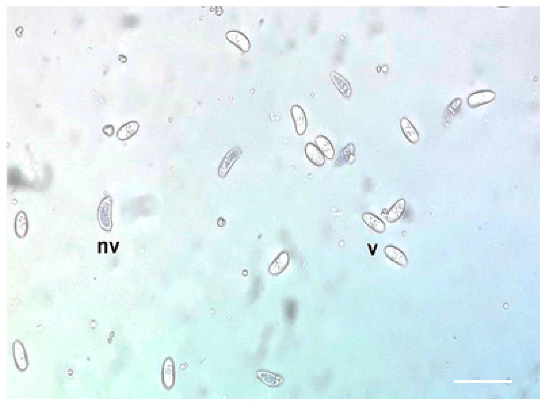 Vetsci 11 00103 g001 Vetsci 11 00103 g001
