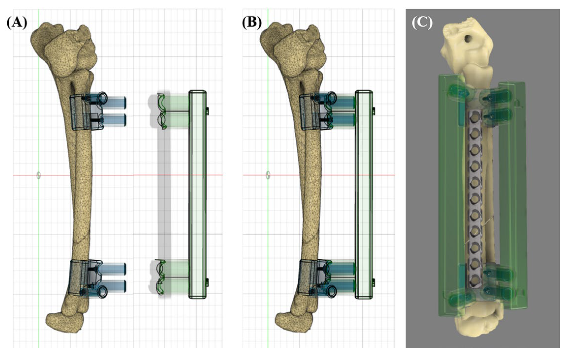 Vetsci 11 00145 g002