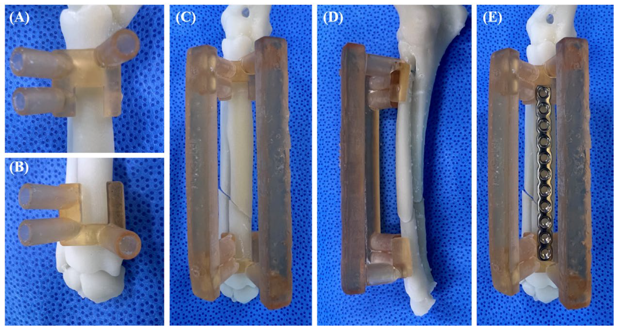 Vetsci 11 00145 g003