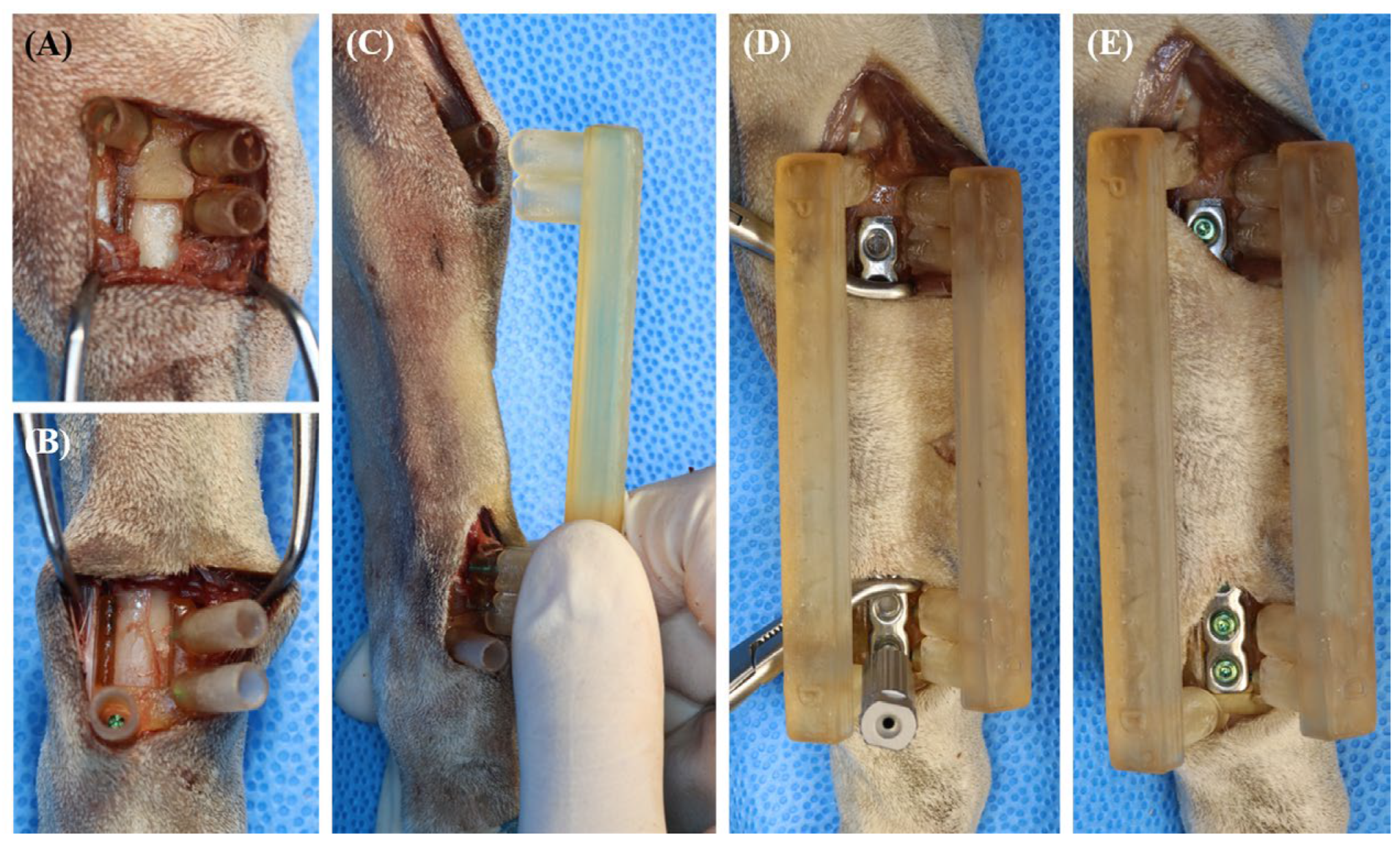 Vetsci 11 00145 g004