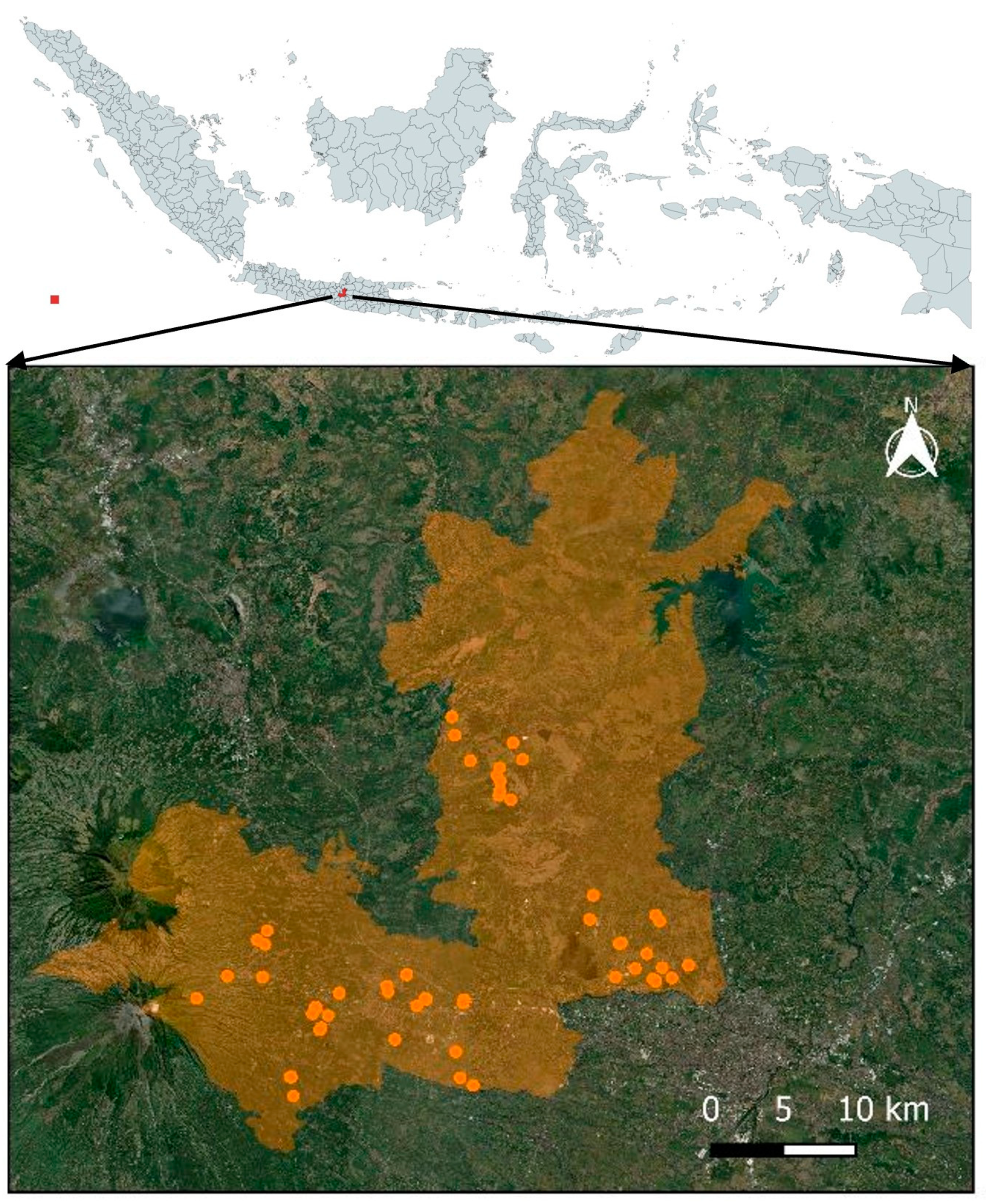 Vetsci 11 00162 g001