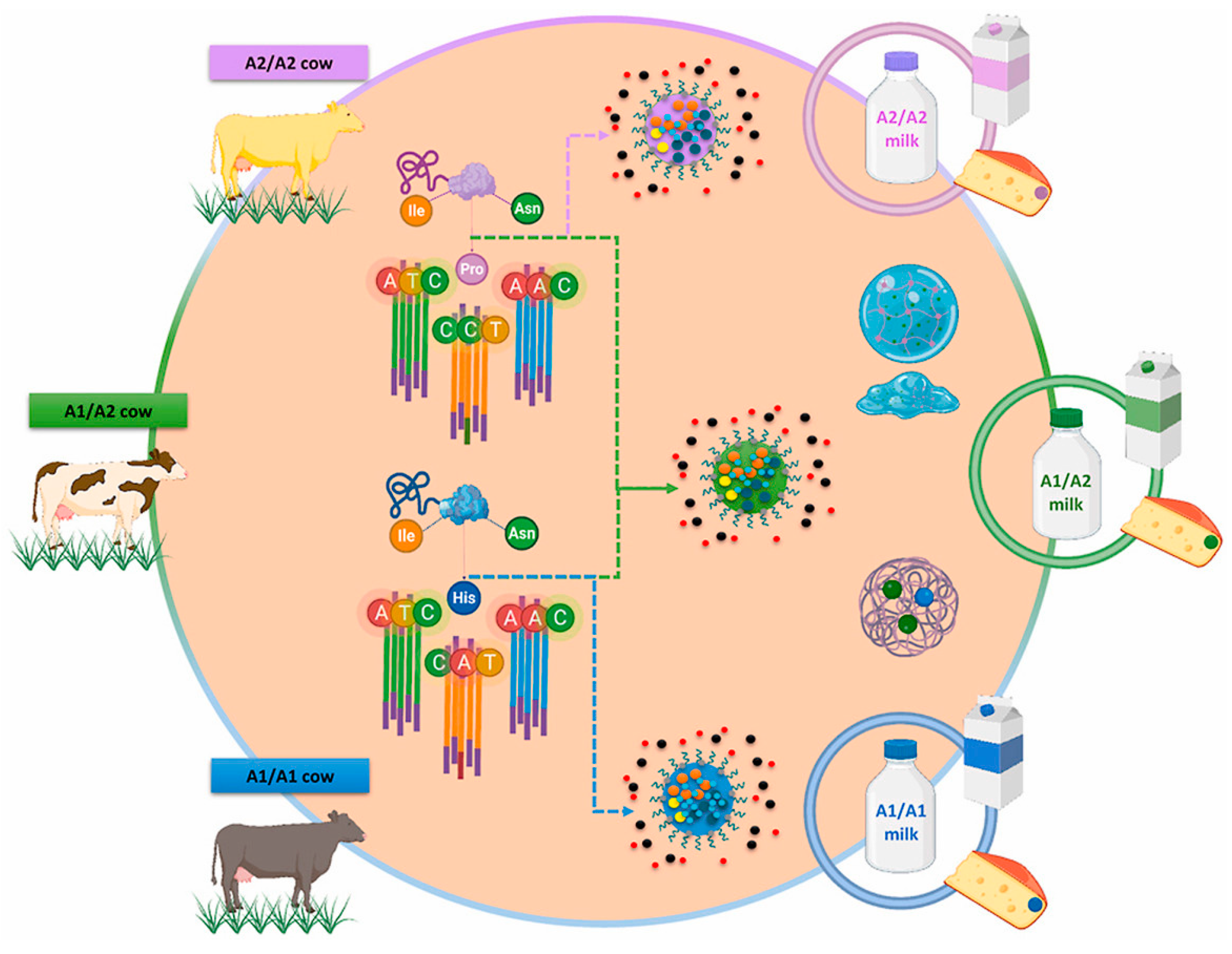 Vetsci 11 00172 g001 Vetsci 11 00172 g001
