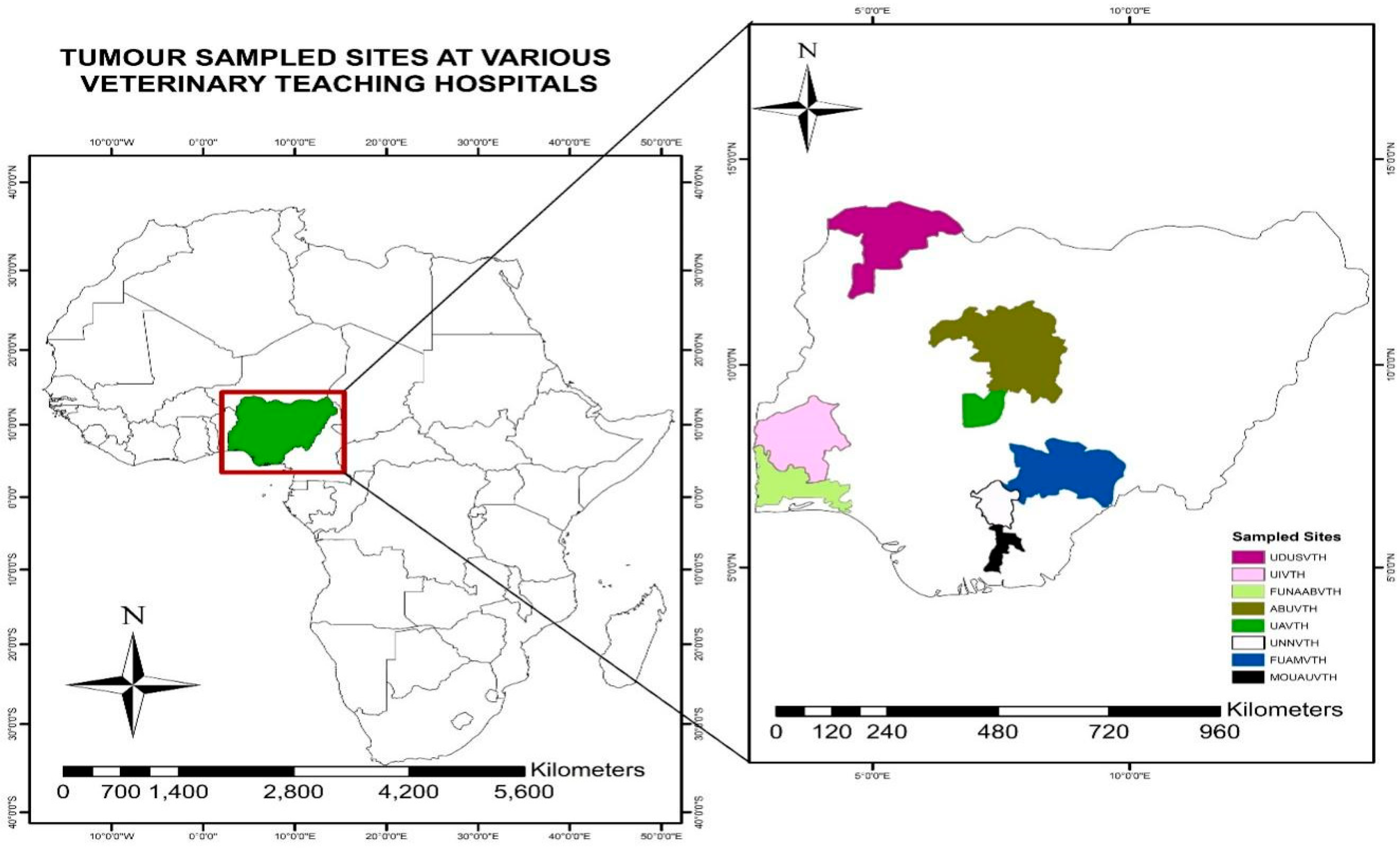 Vetsci 11 00175 g001
