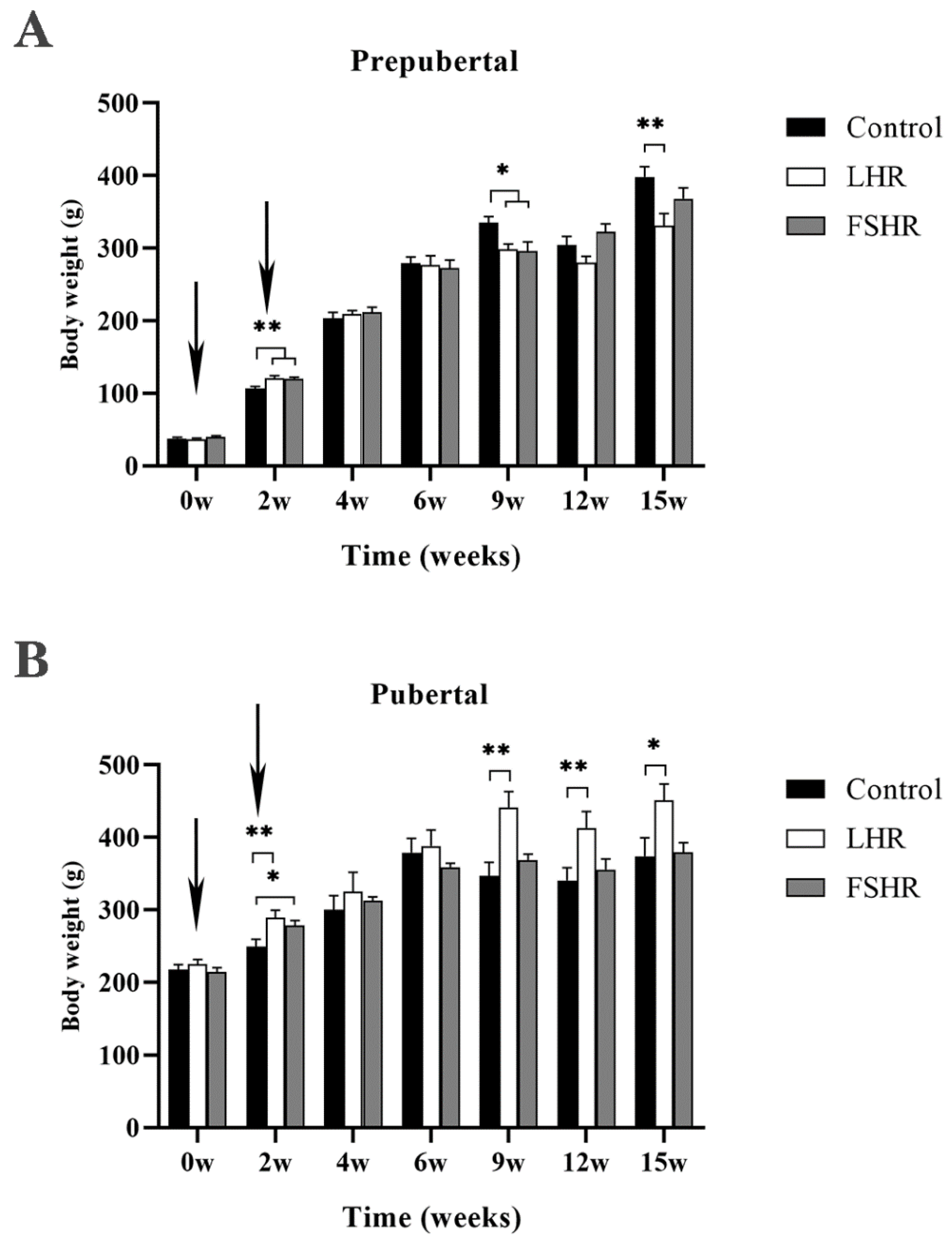 Vetsci 11 00176 g001