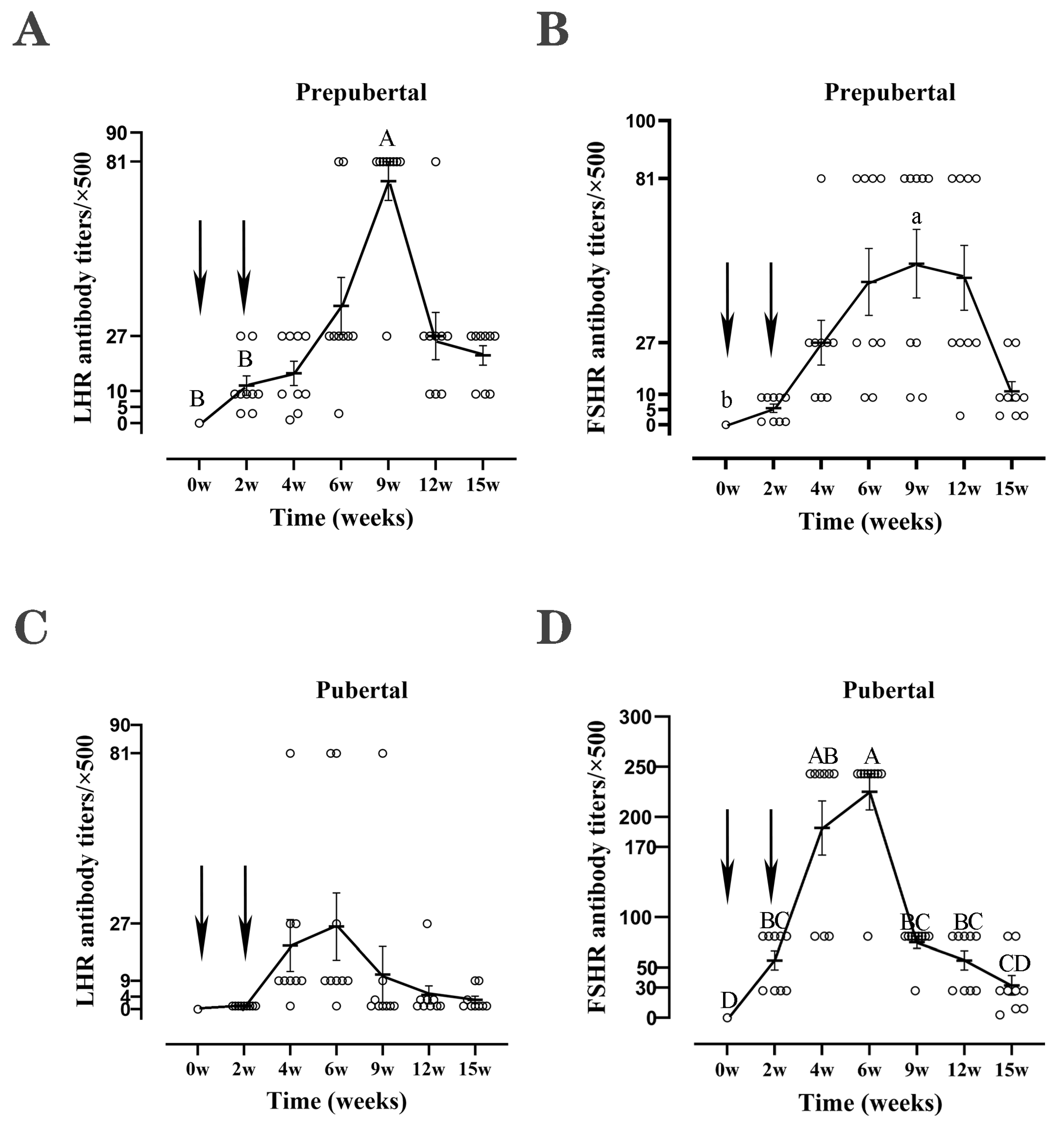 Vetsci 11 00176 g002