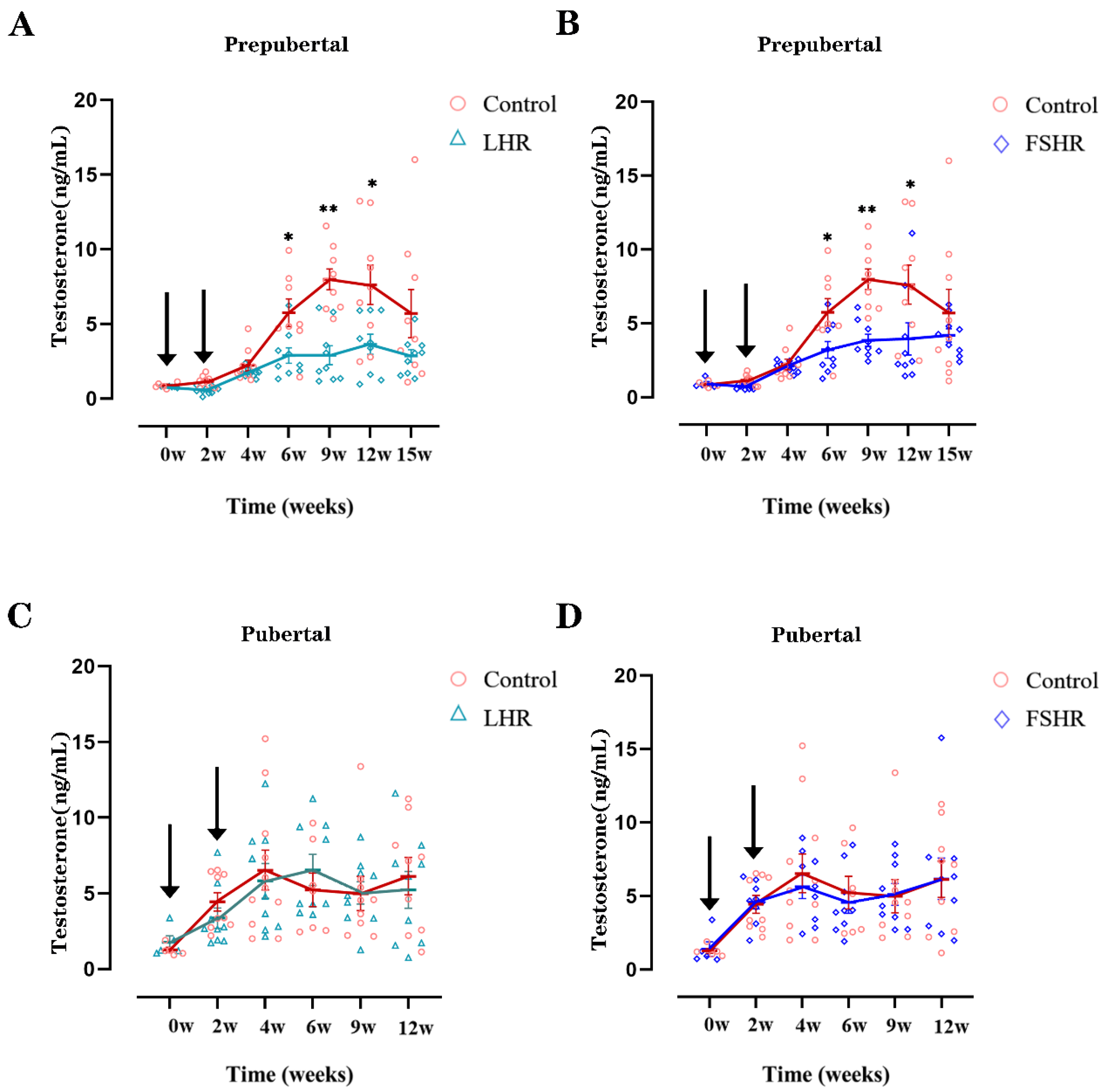 Vetsci 11 00176 g003
