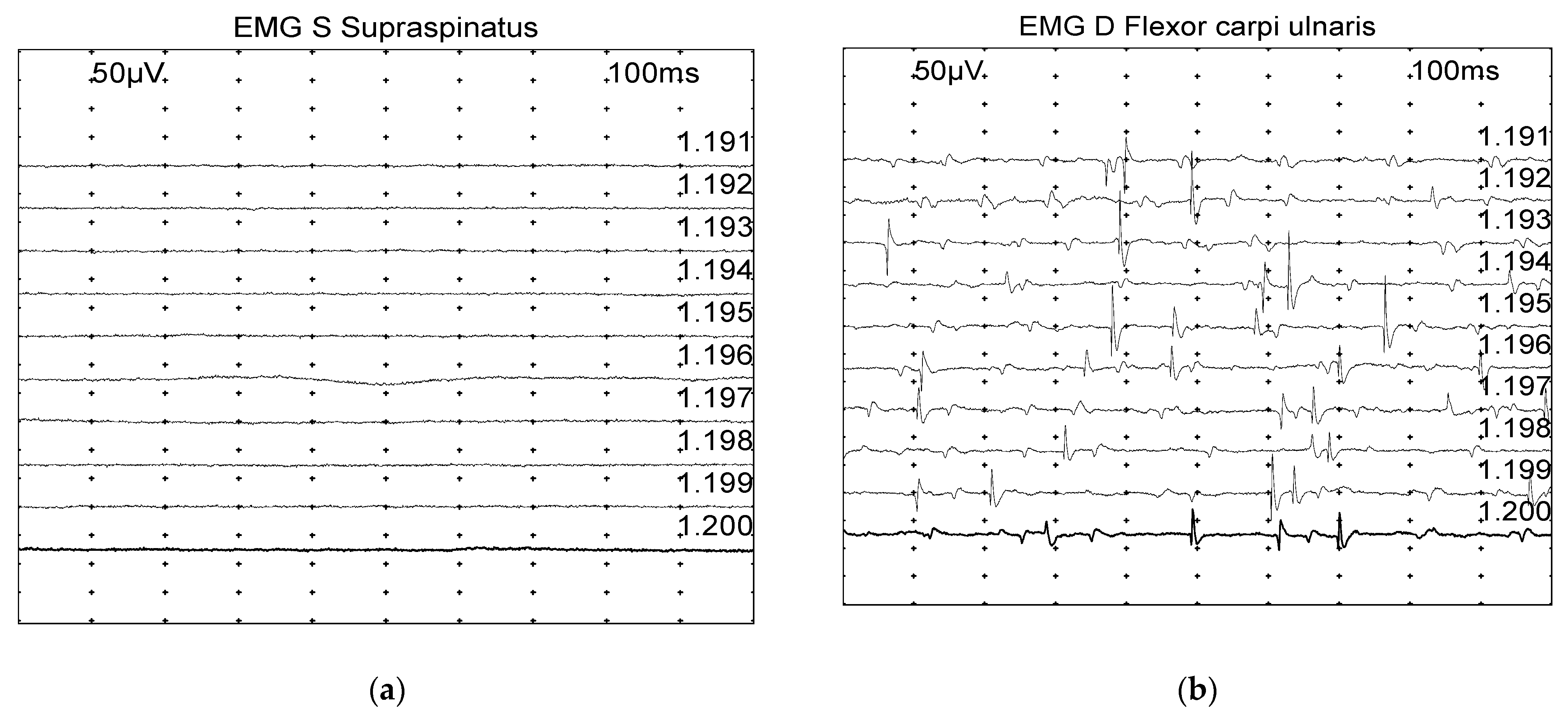 Vetsci 11 00178 g001a Vetsci 11 00178 g001a