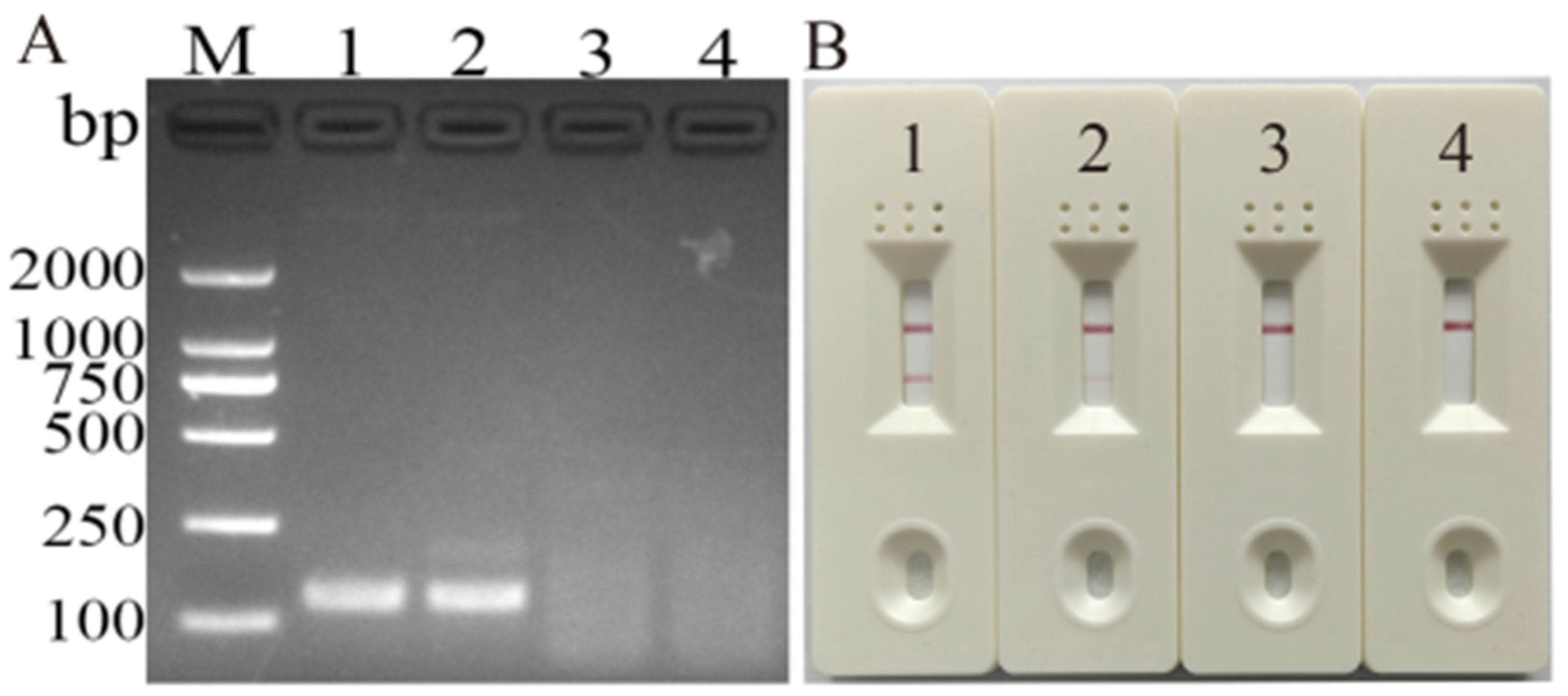 Vetsci 11 00191 g001 Vetsci 11 00191 g001