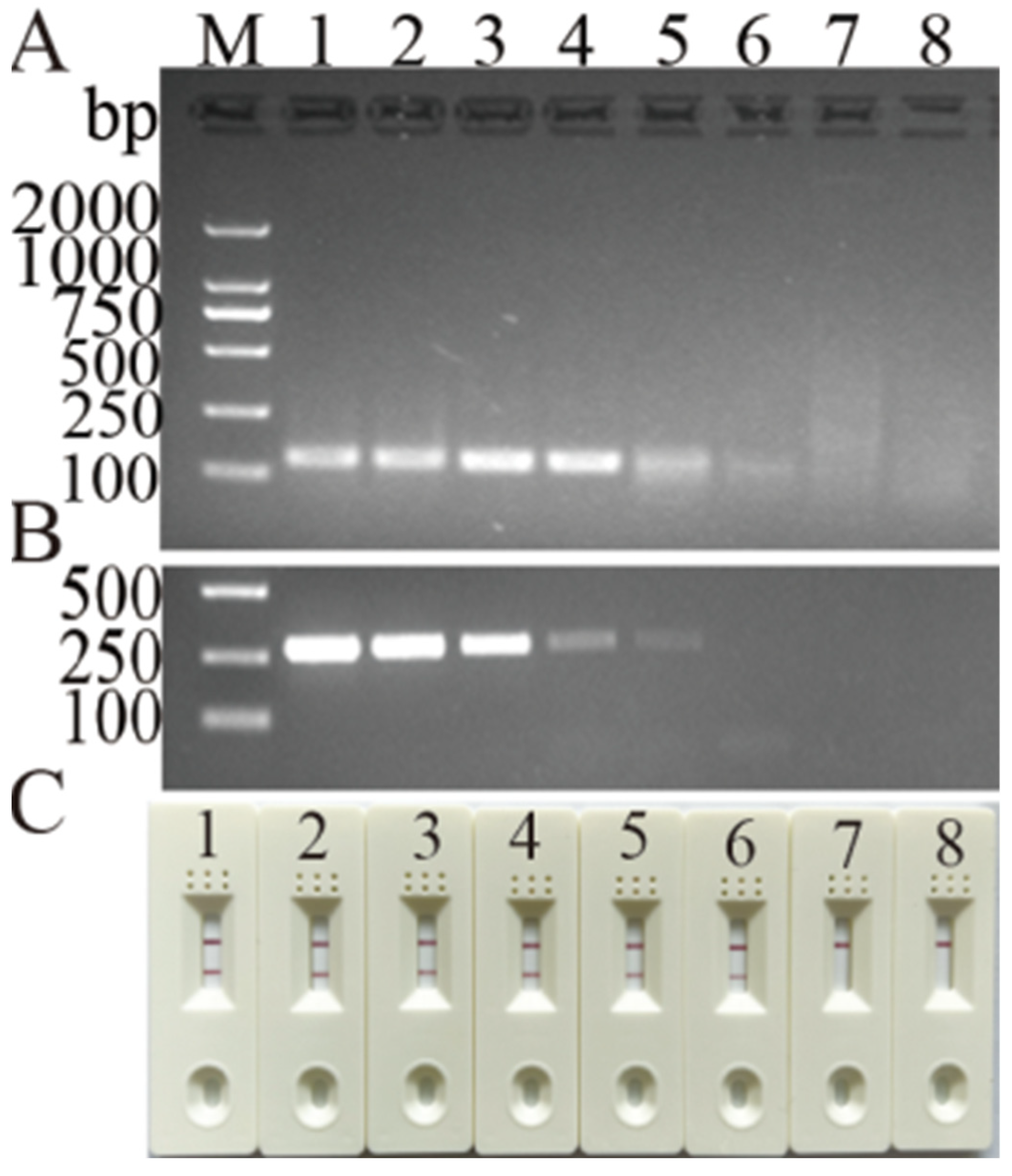 Vetsci 11 00191 g004 Vetsci 11 00191 g004