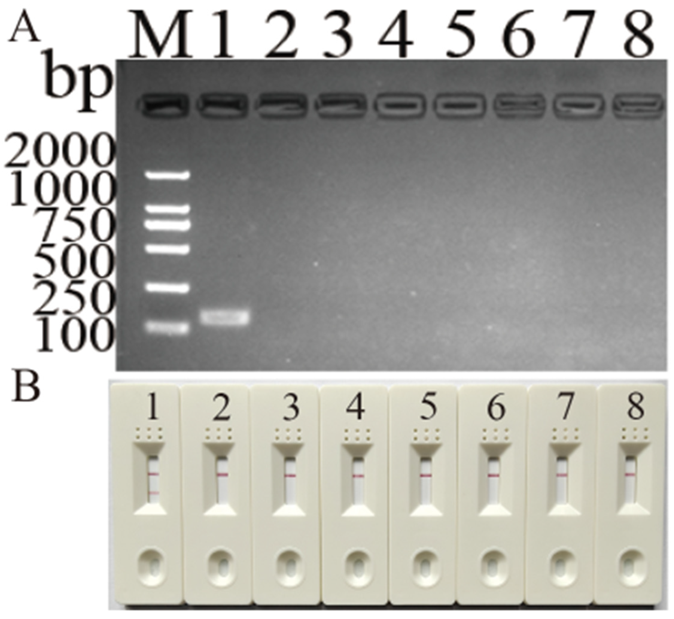 Vetsci 11 00191 g005 Vetsci 11 00191 g005