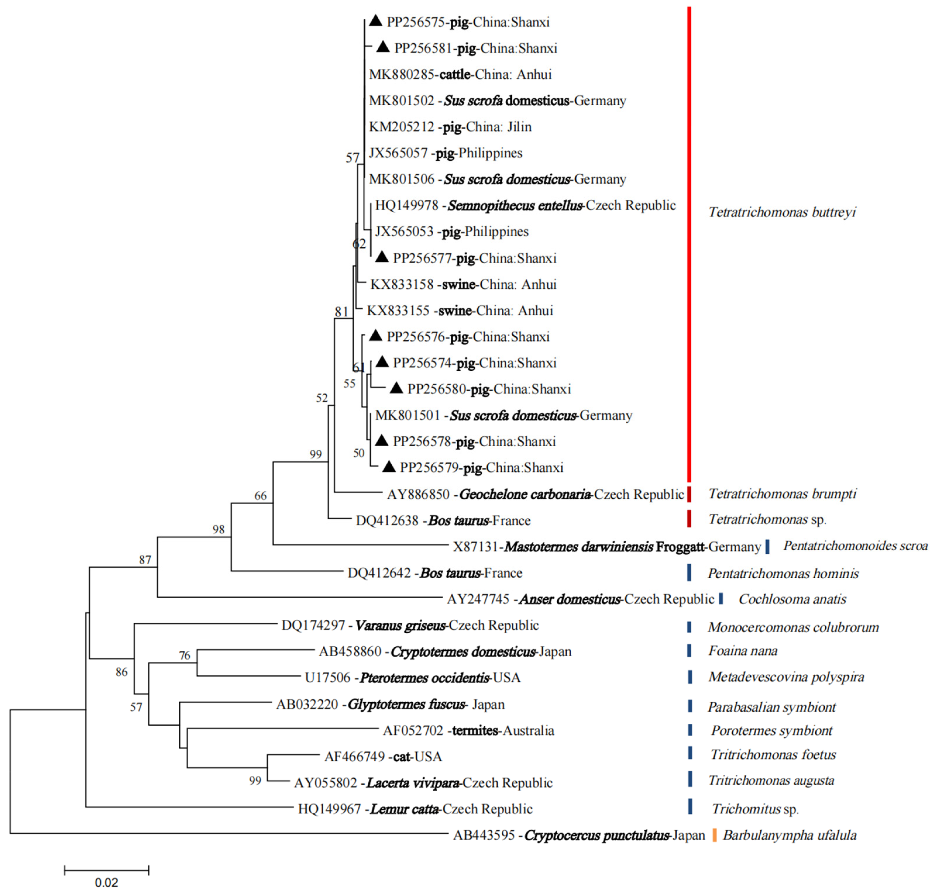Vetsci 11 00203 g003