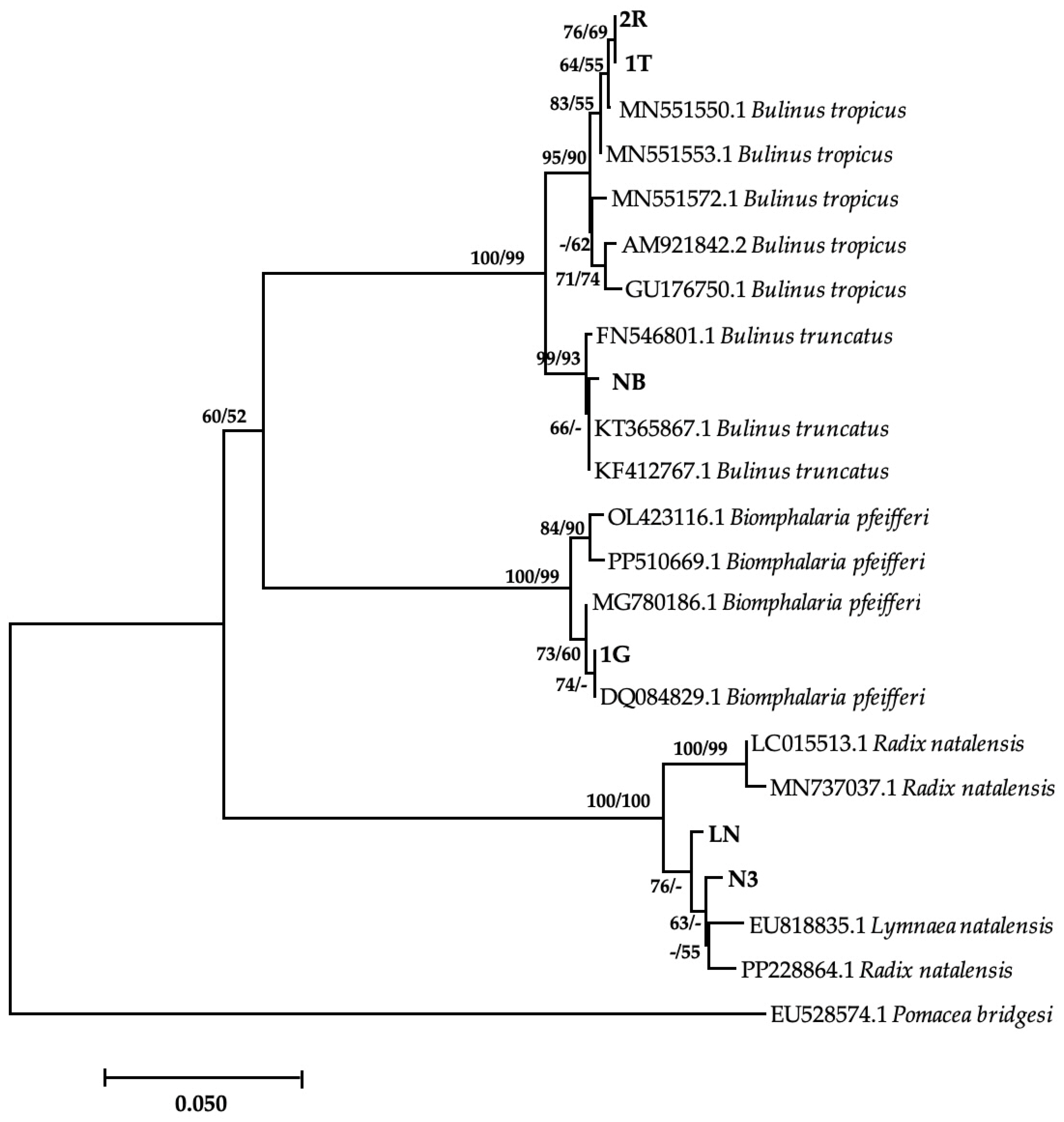 Vetsci 11 00211 g002
