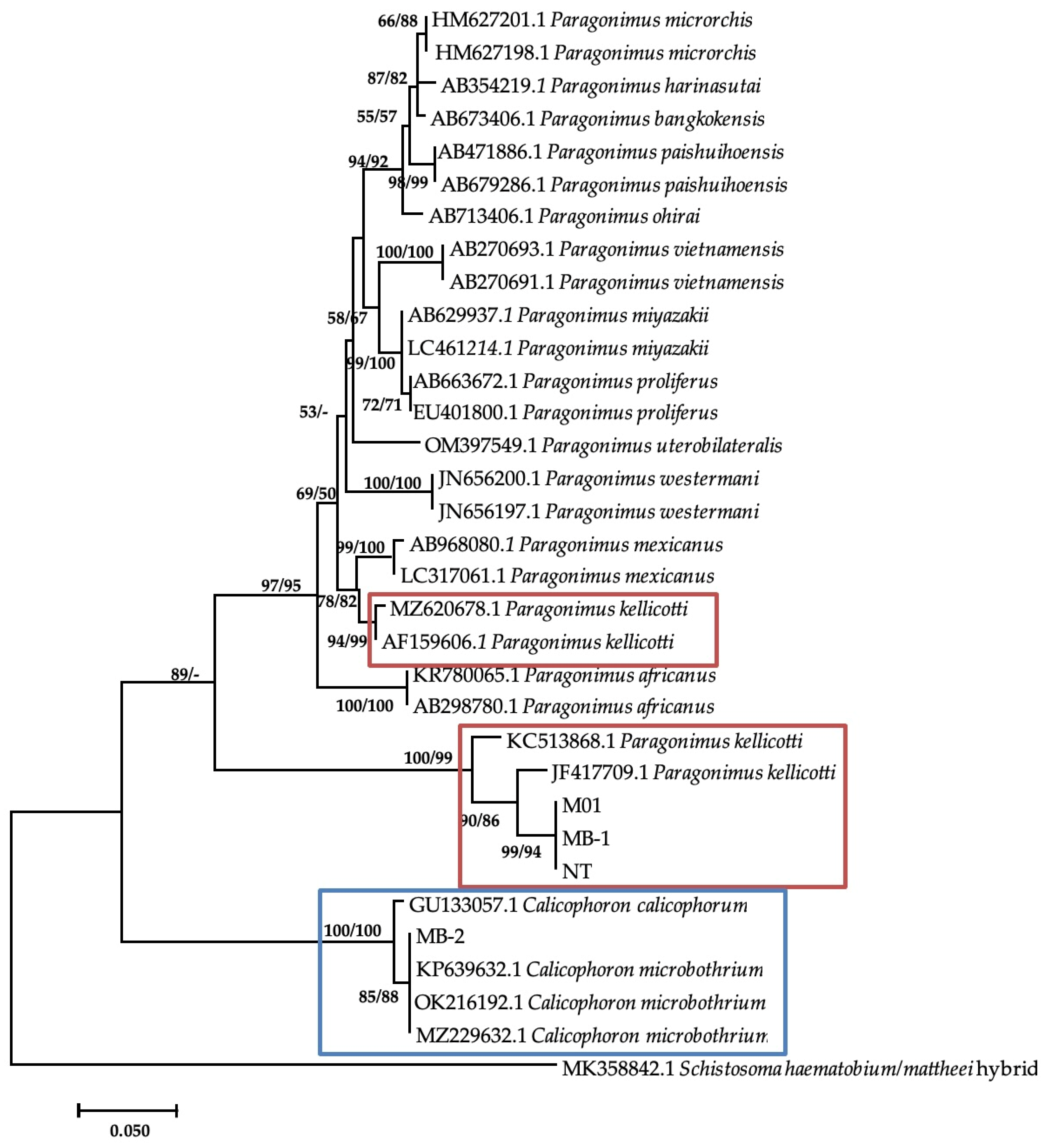Vetsci 11 00211 g003