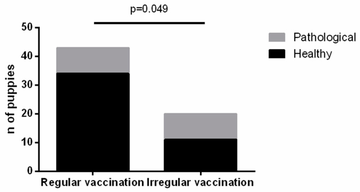 Vetsci 11 00234 g007 Vetsci 11 00234 g007