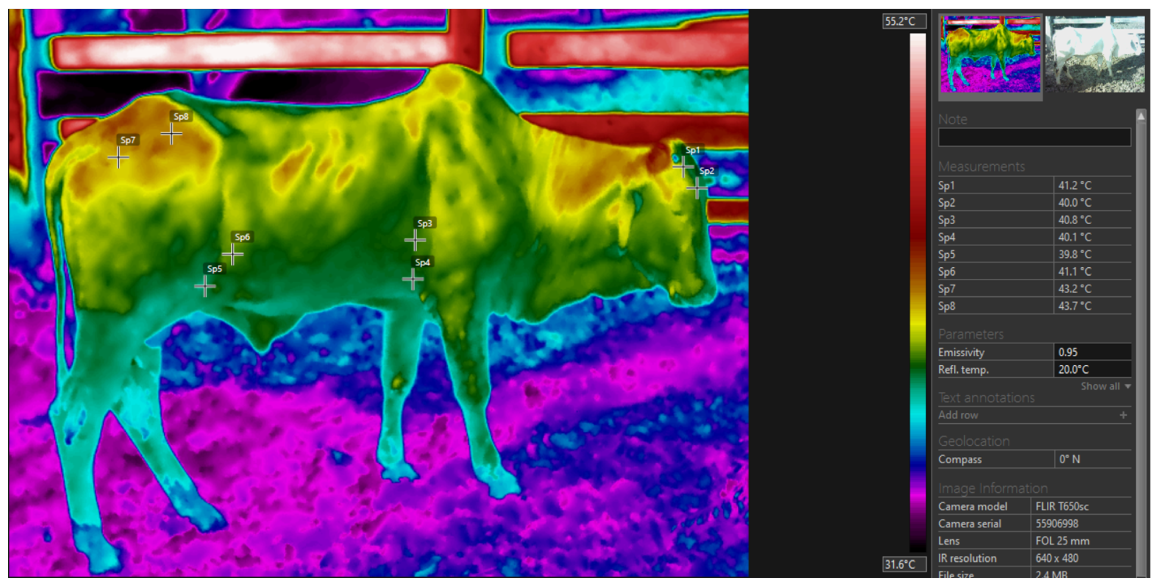 Vetsci 11 00236 g002 Vetsci 11 00236 g002