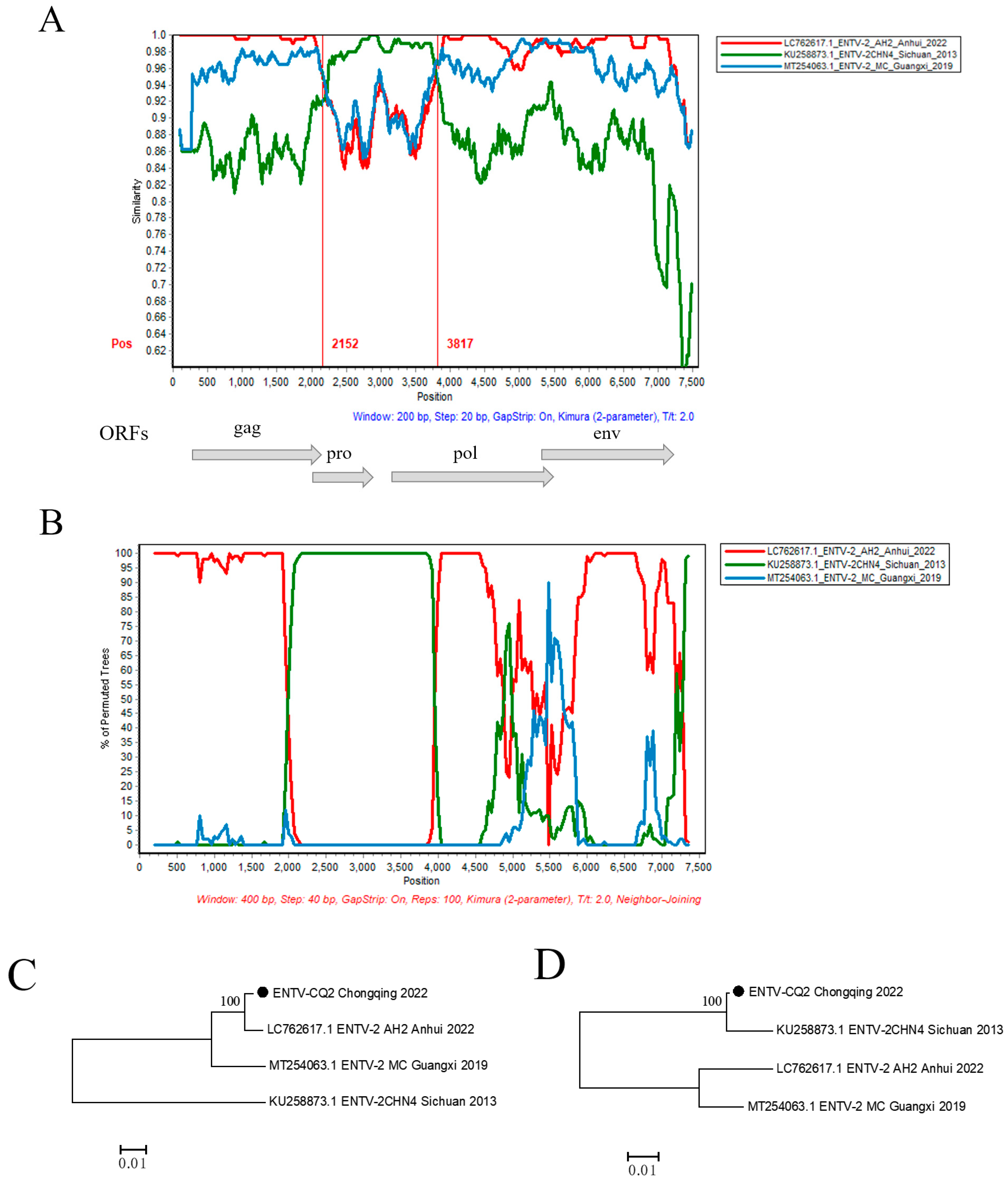 Vetsci 11 00248 g004