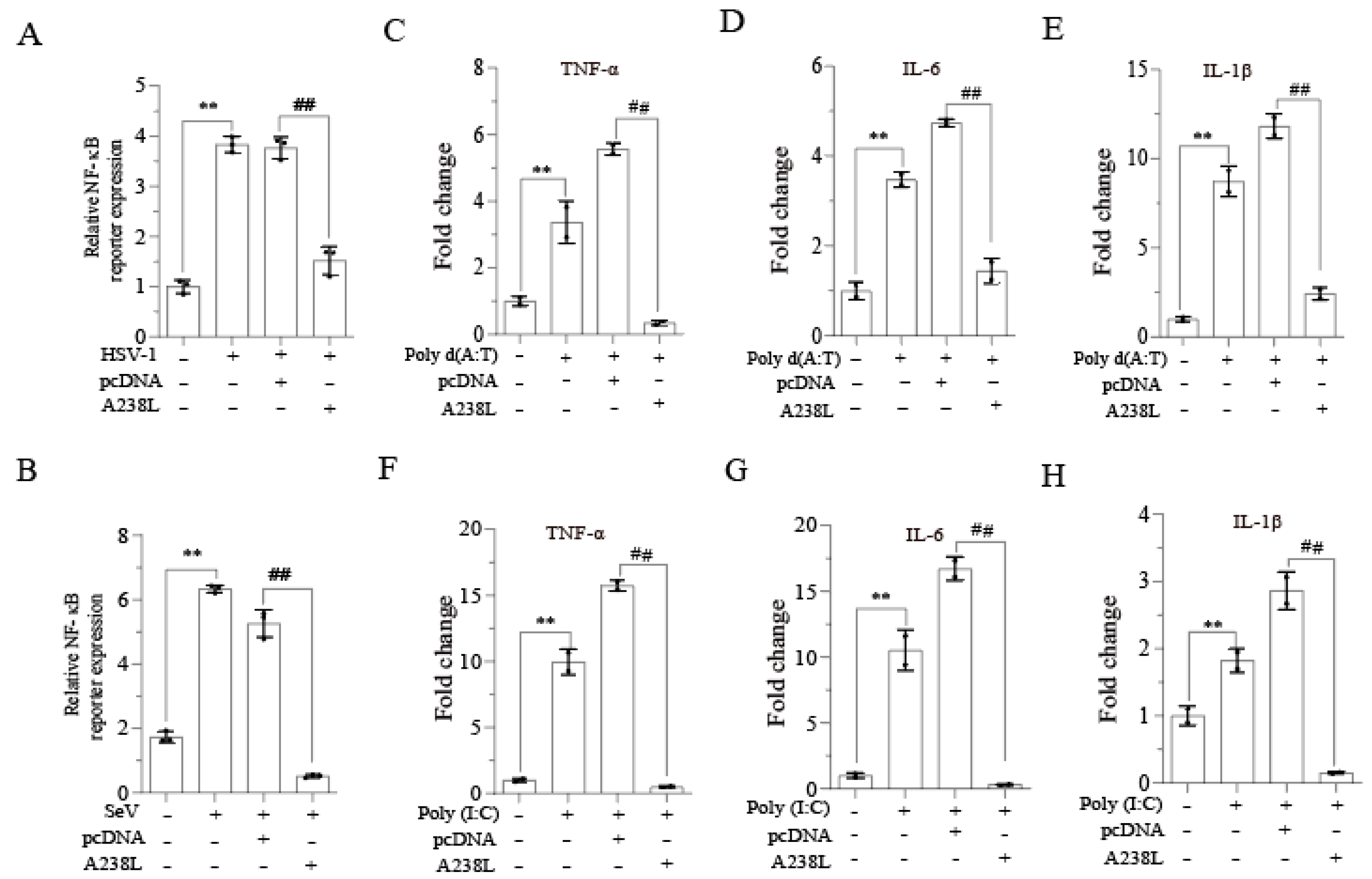 Vetsci 11 00252 g001